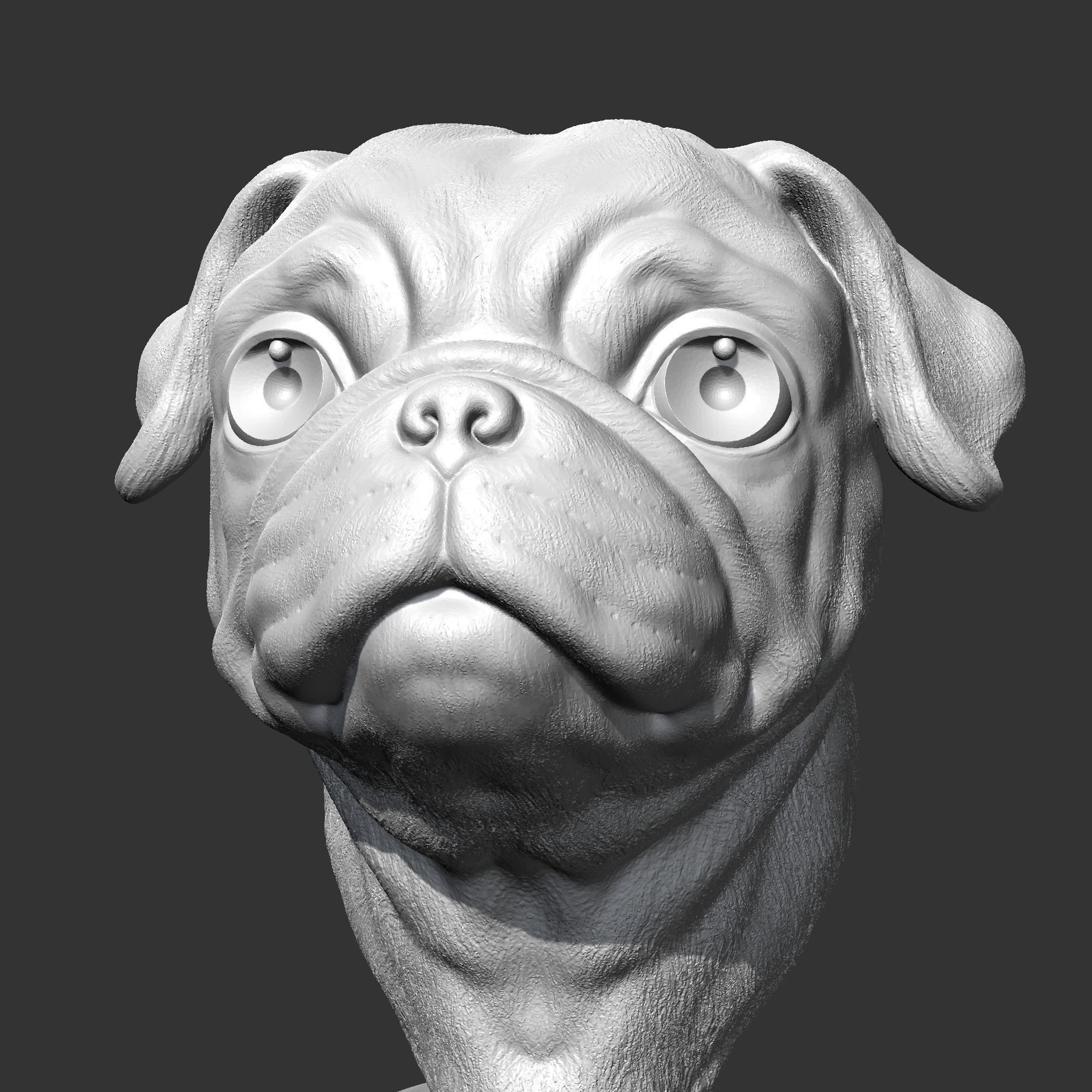 Pug Head AM36 3D print model 3D print model_1