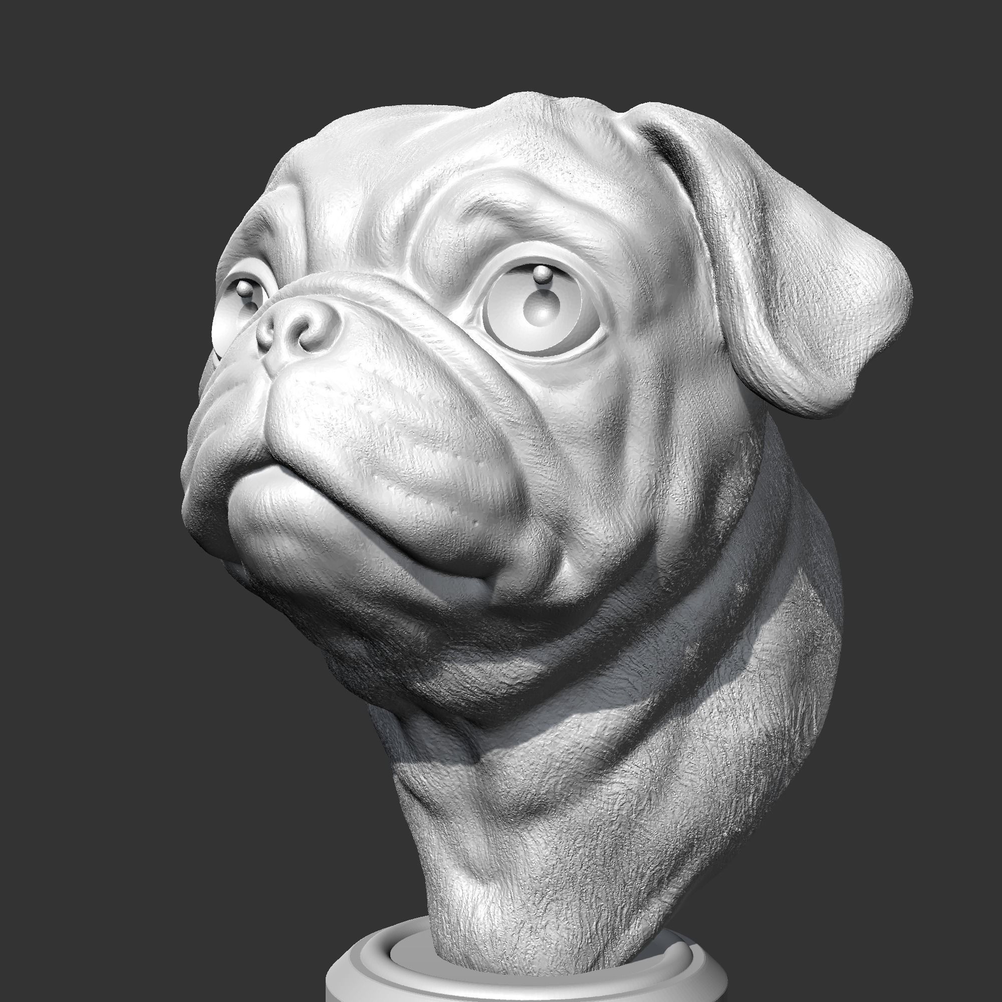 Pug Head AM36 3D print model 3D print model_3