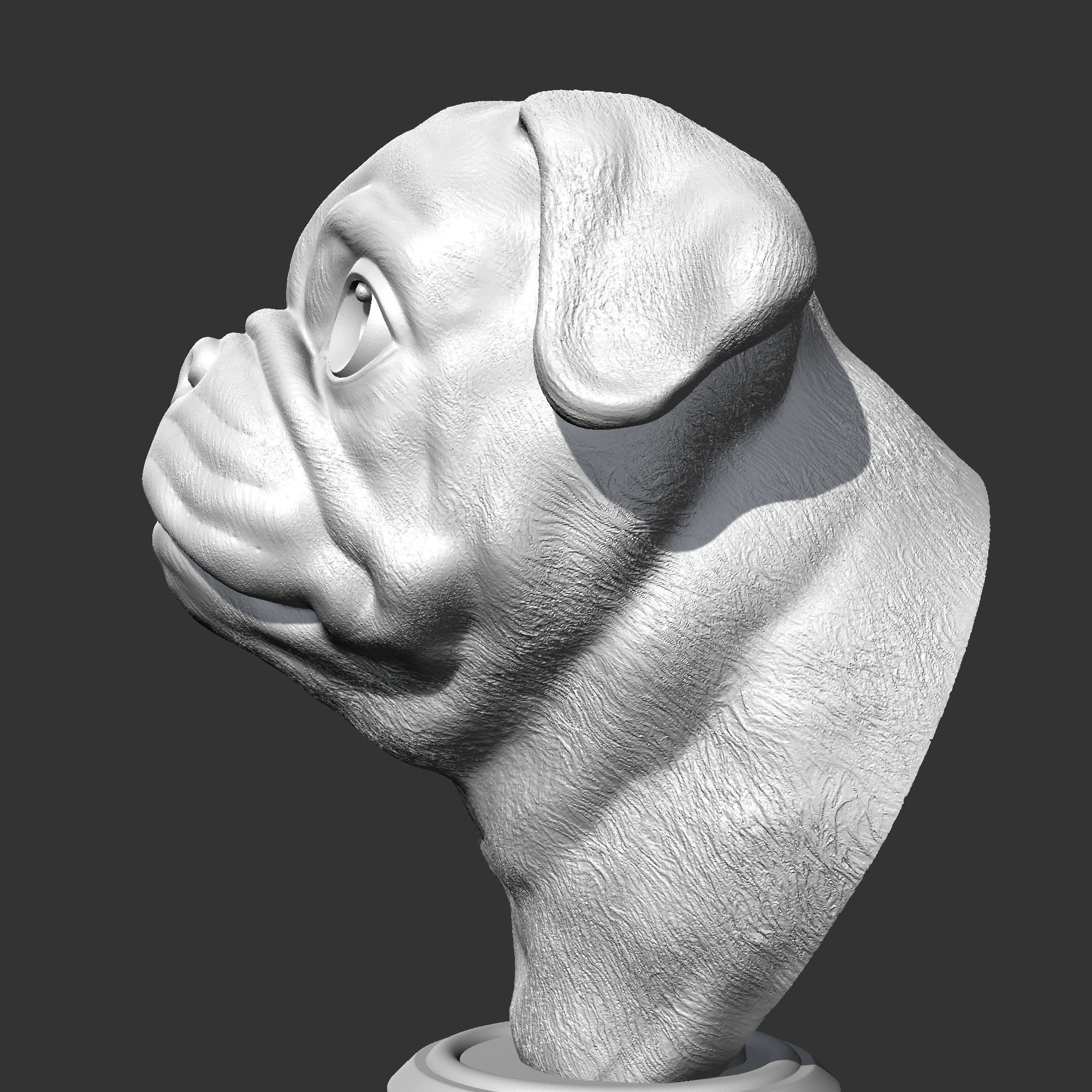 Pug Head AM36 3D print model 3D print model_5