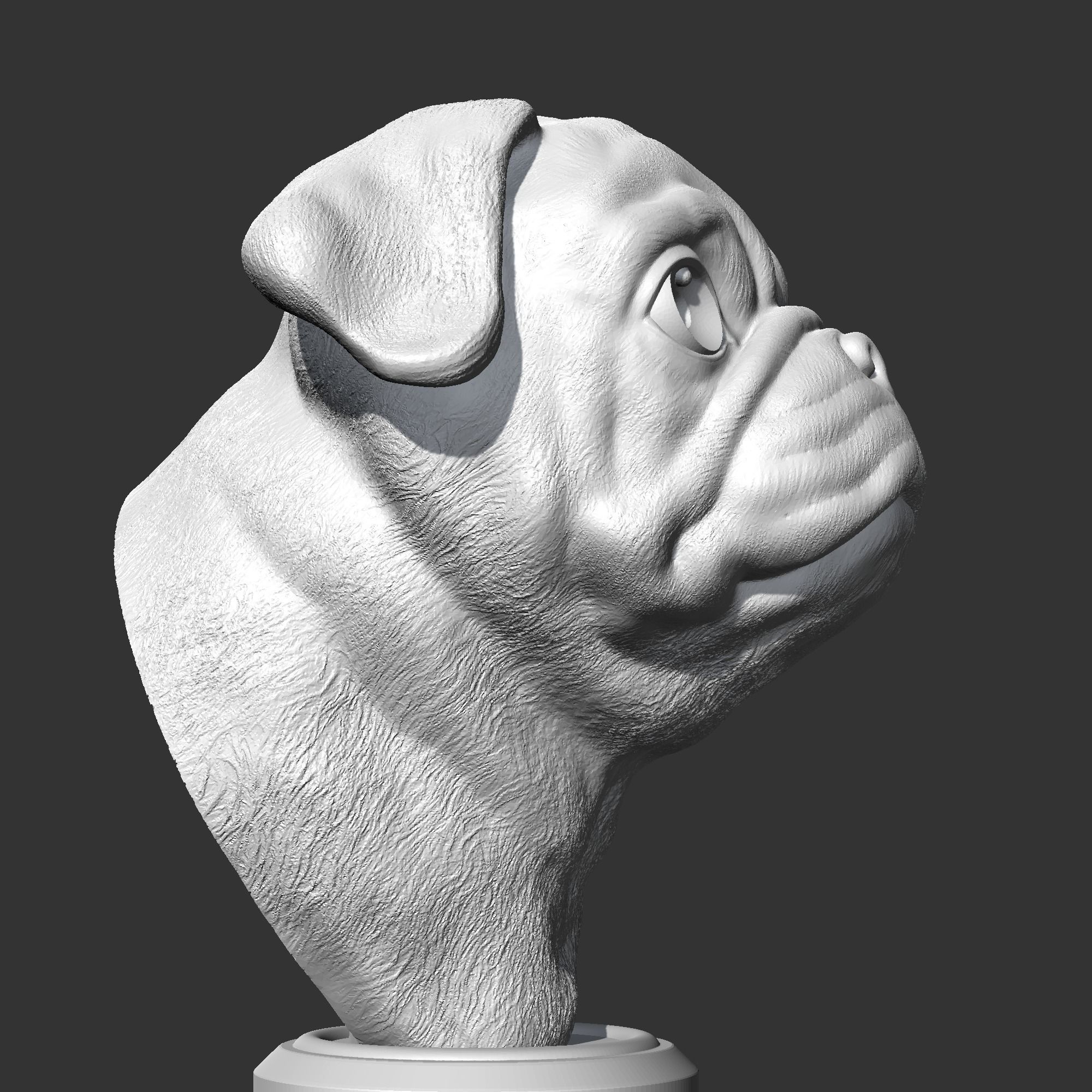 Pug Head AM36 3D print model 3D print model_7
