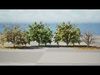 All-Seasons Tree 3D Model Low-poly 3D model_1
