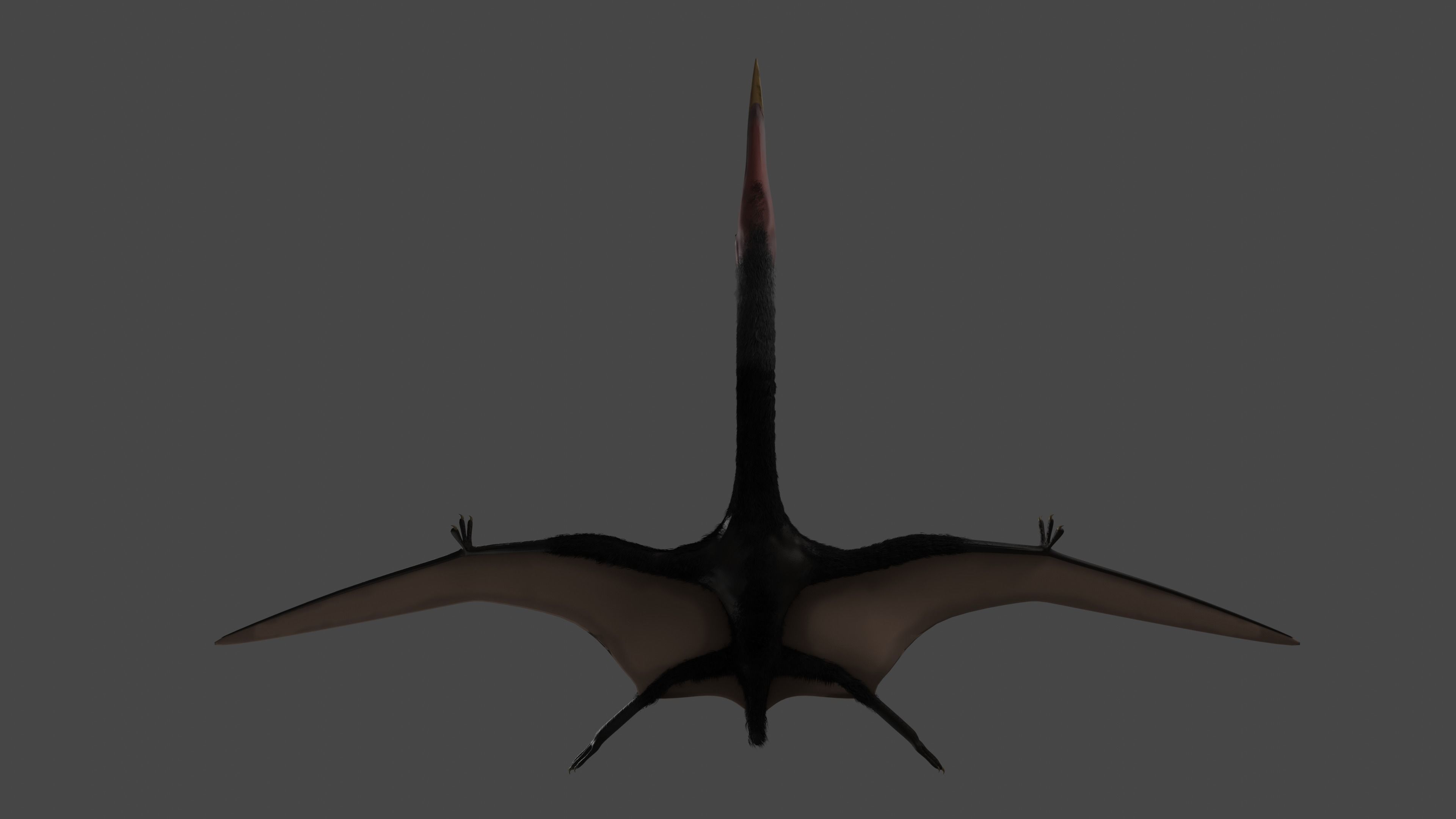 Quetzalcoatlus Low-poly 3D model_5