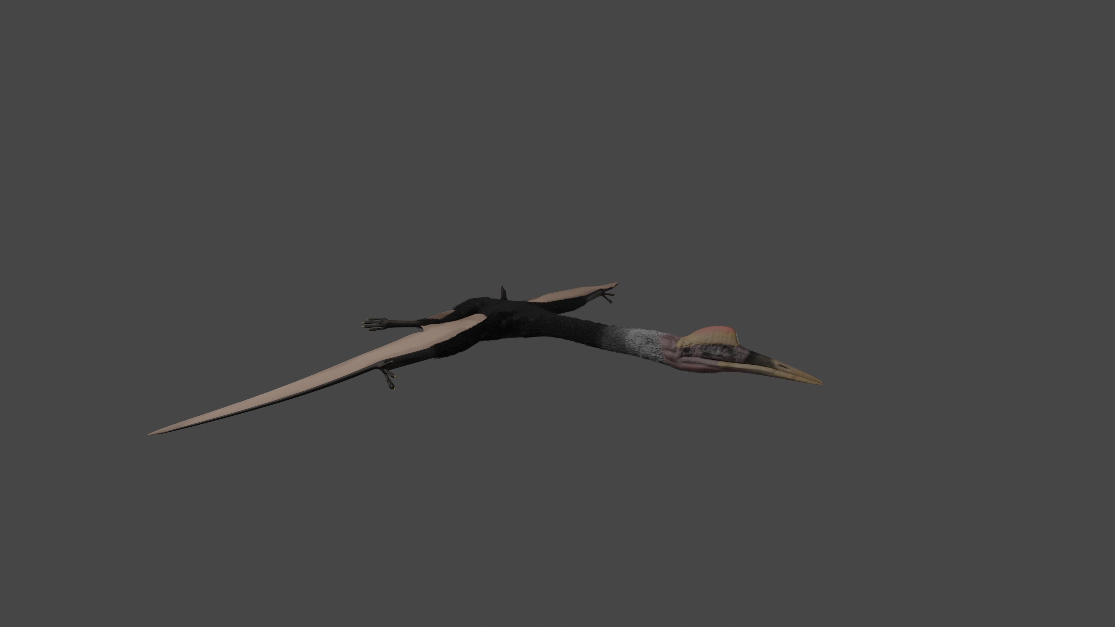Quetzalcoatlus Low-poly 3D model_3