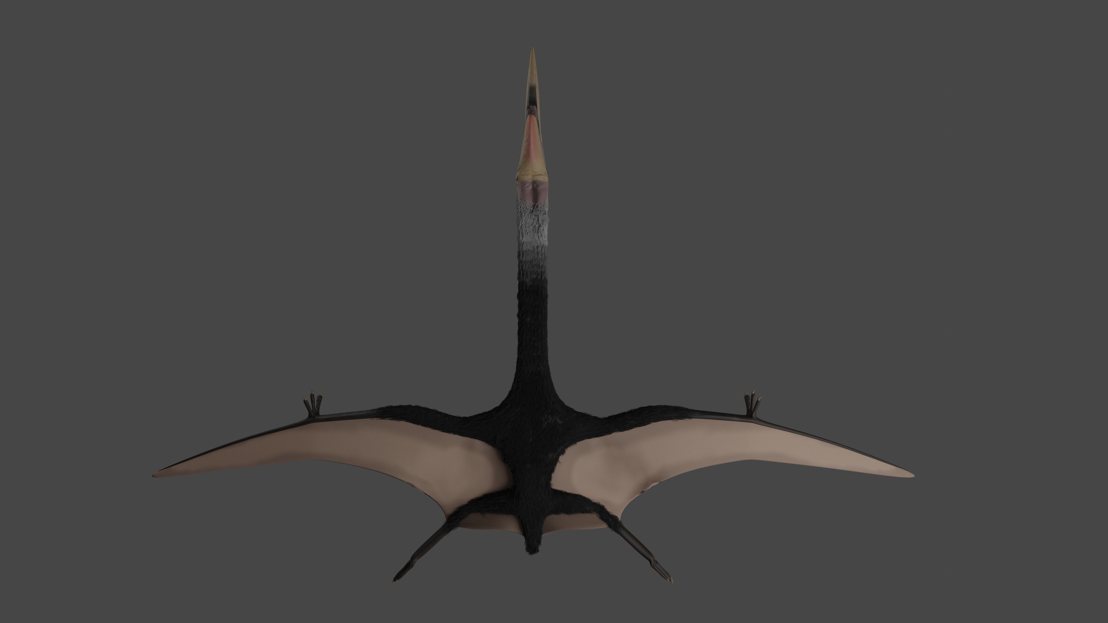 Quetzalcoatlus Low-poly 3D model_4