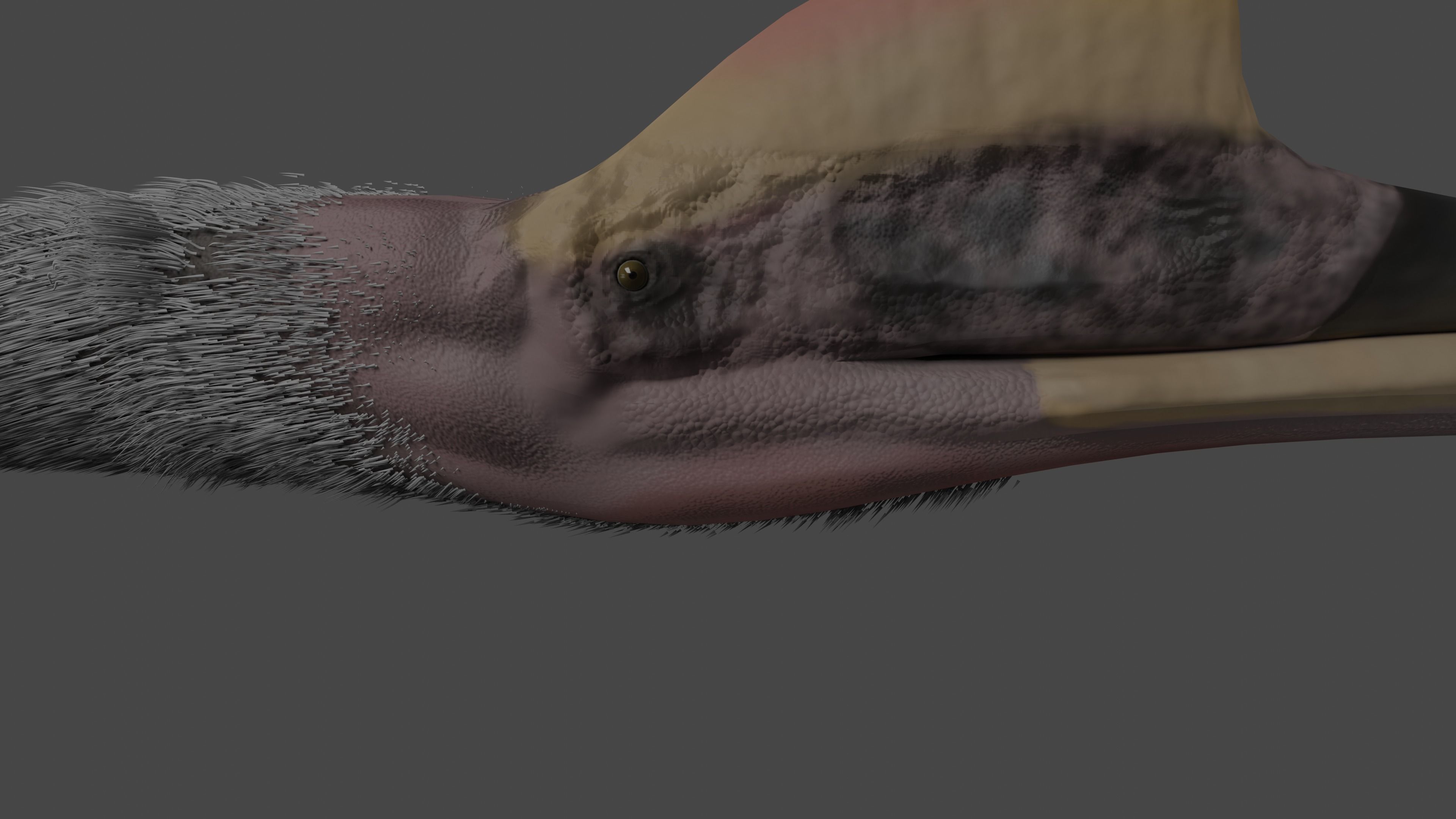 Quetzalcoatlus Low-poly 3D model_6