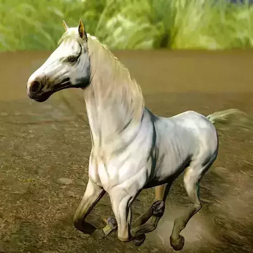 HORSE MODEL WITH 15 ANIMATIONS