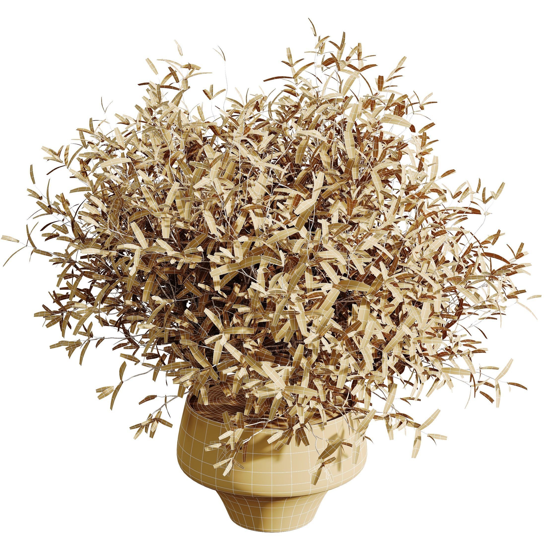 Beech Olea Europaea Olive Eucalyptu Joyplants Mini Fig Set03 3D model_5