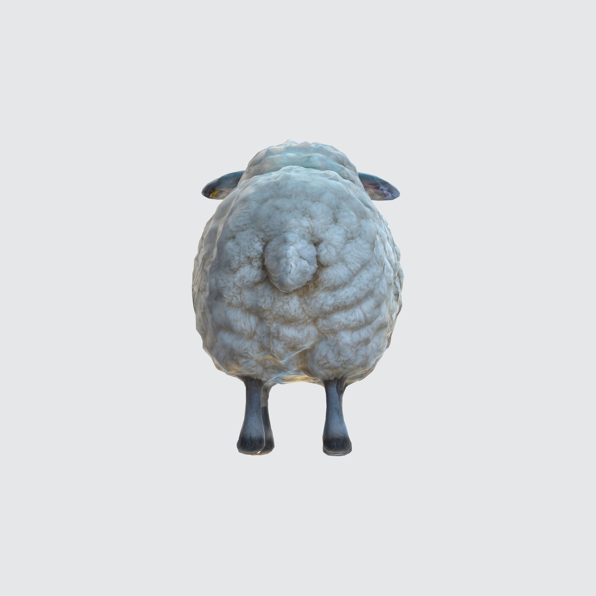 Endering of a cute and fluffy white sheep 3D model_2