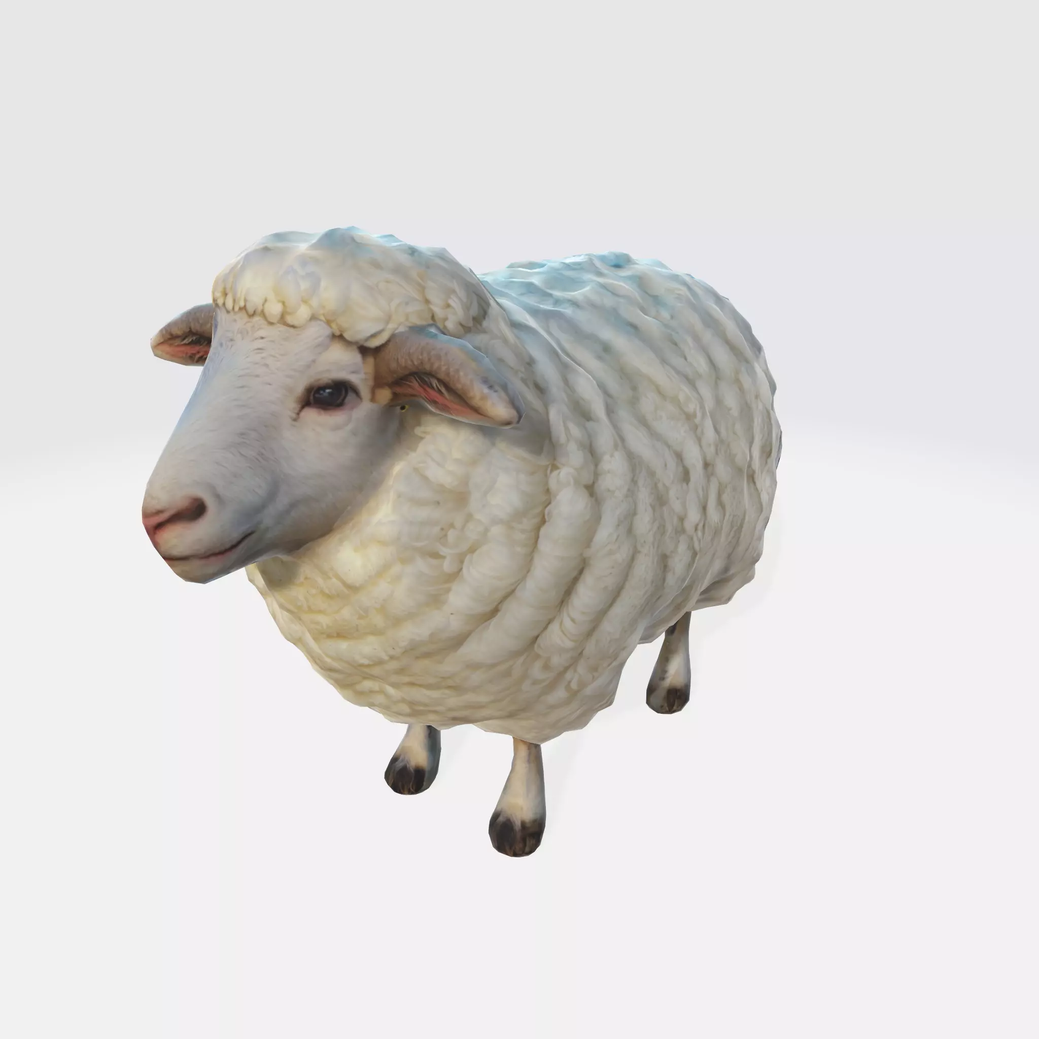 Endering of a cute and fluffy white sheep 3D model_0