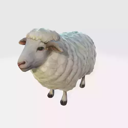 Endering of a cute and fluffy white sheep 3D model