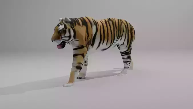 Tiger 3D Model With high Quality Texture 