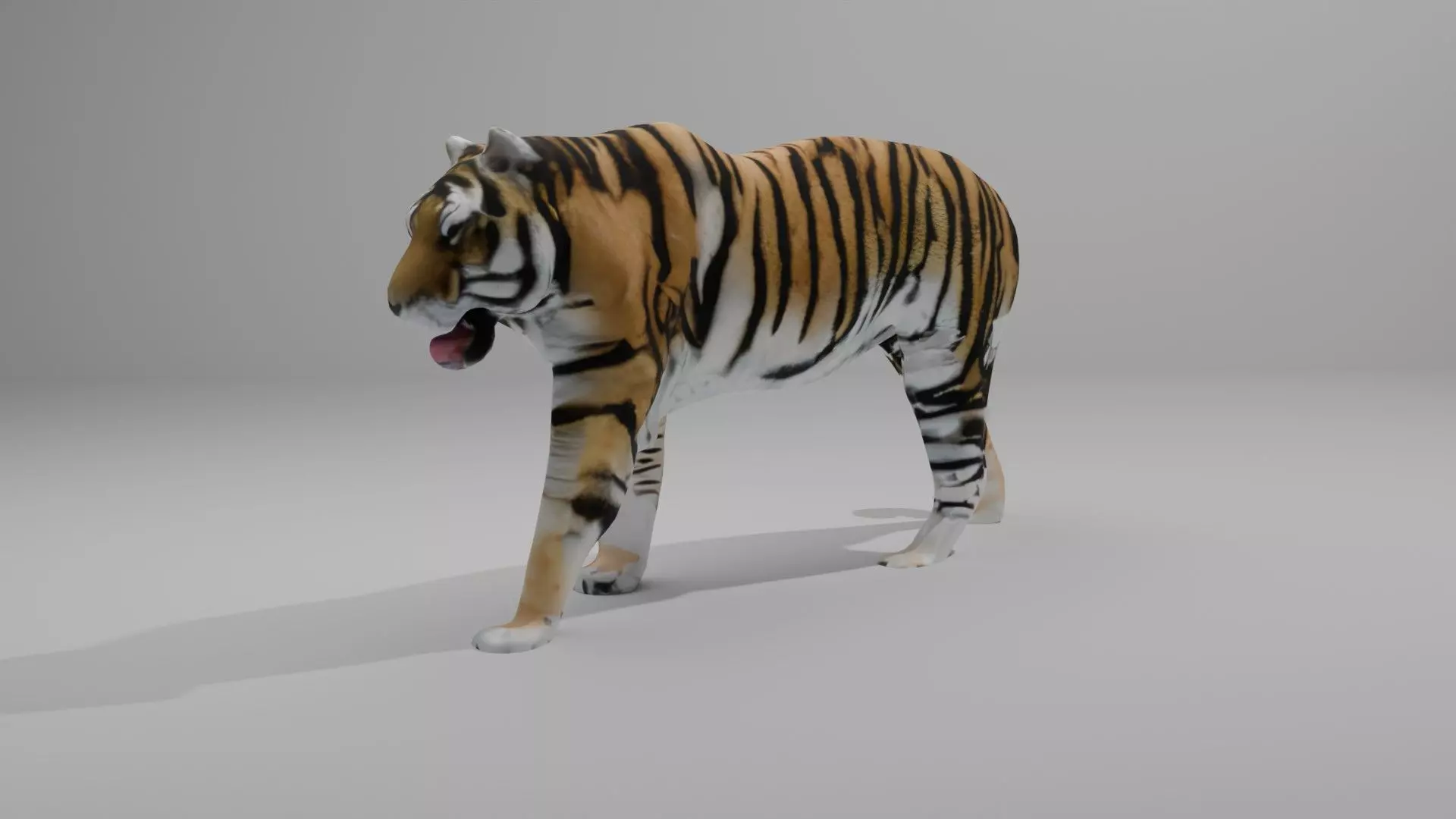 Tiger 3D Model With high Quality Texture 3D model_0