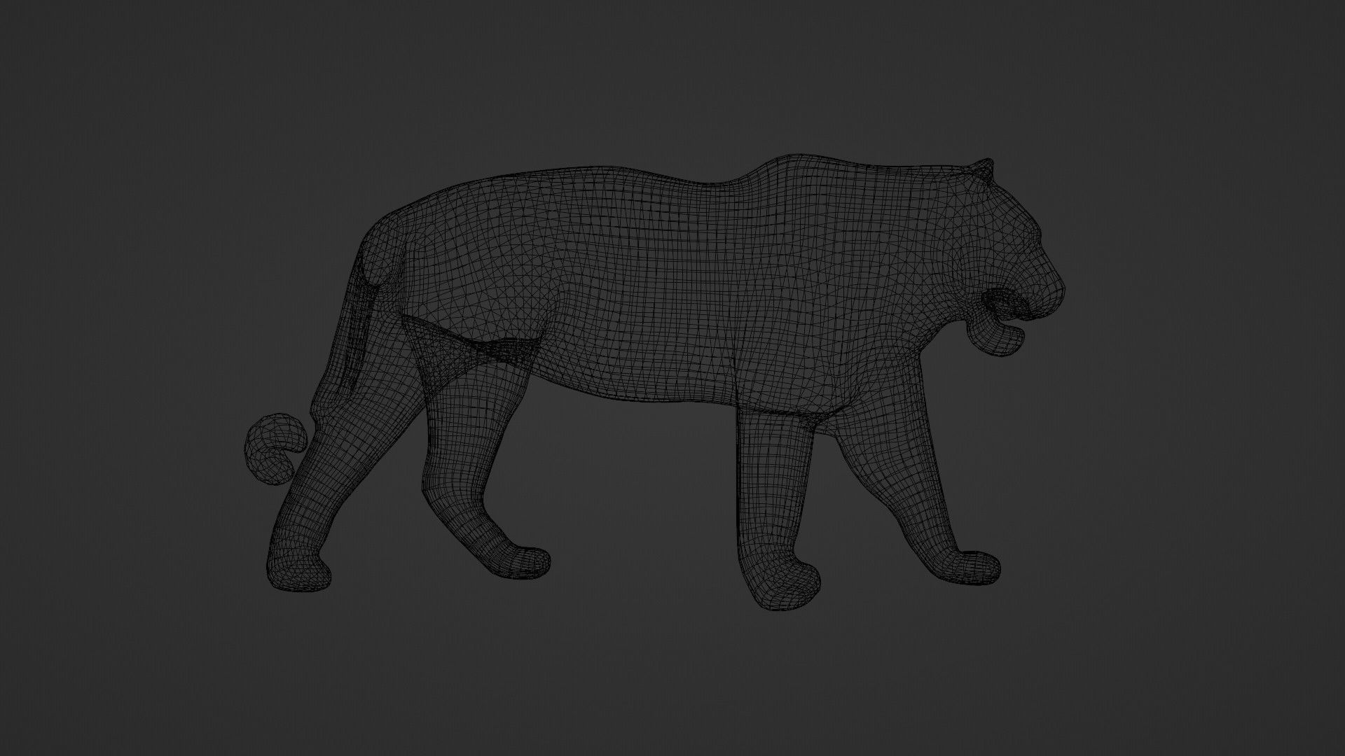 Tiger 3D Model With high Quality Texture 3D model_3