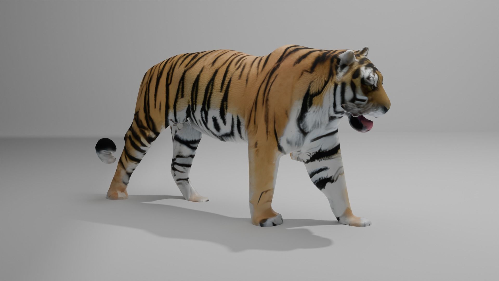 Tiger 3D Model With high Quality Texture 3D model_2