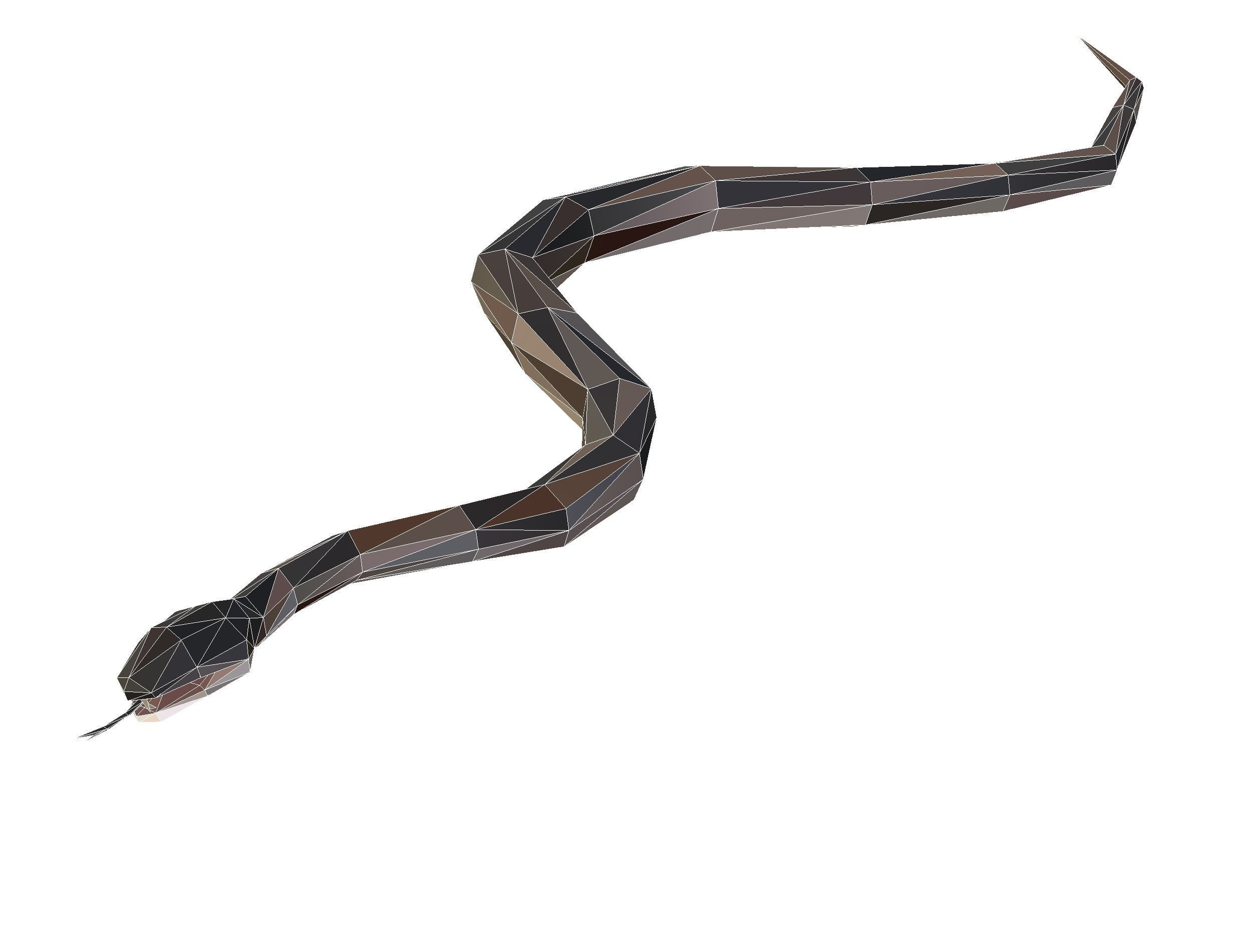 Animated Snake Lowpoly Art Style Low-poly 3D model_28