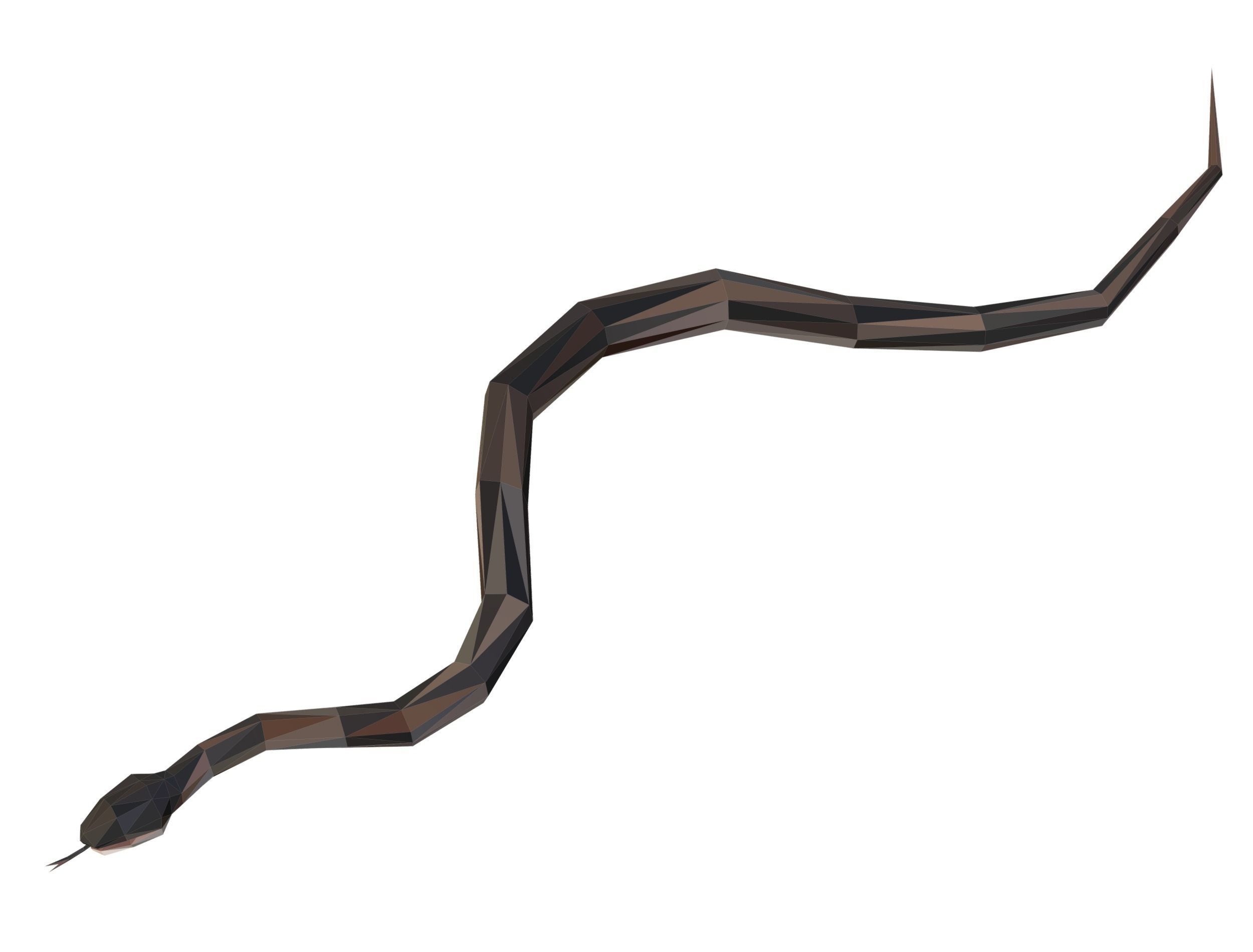 Animated Snake Lowpoly Art Style Low-poly 3D model_24