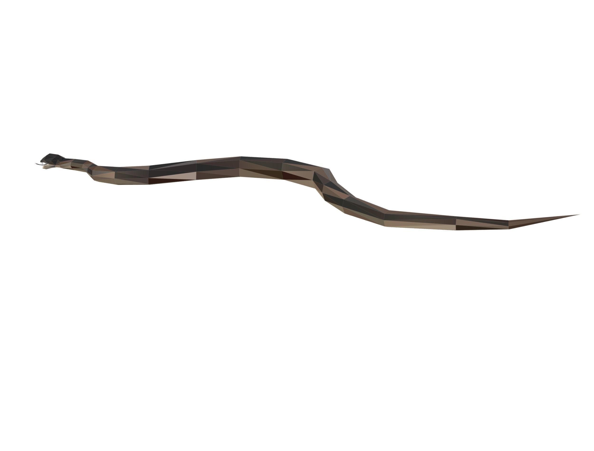 Animated Snake Lowpoly Art Style Low-poly 3D model_23