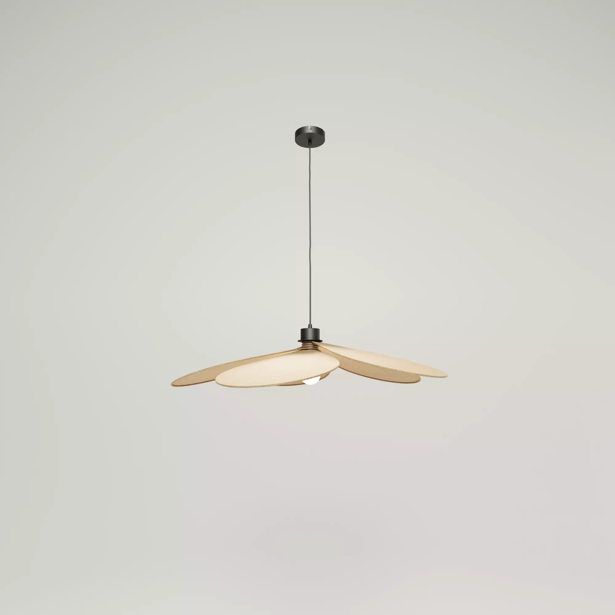 Fabric ceiling Lamp Free 3D model_0