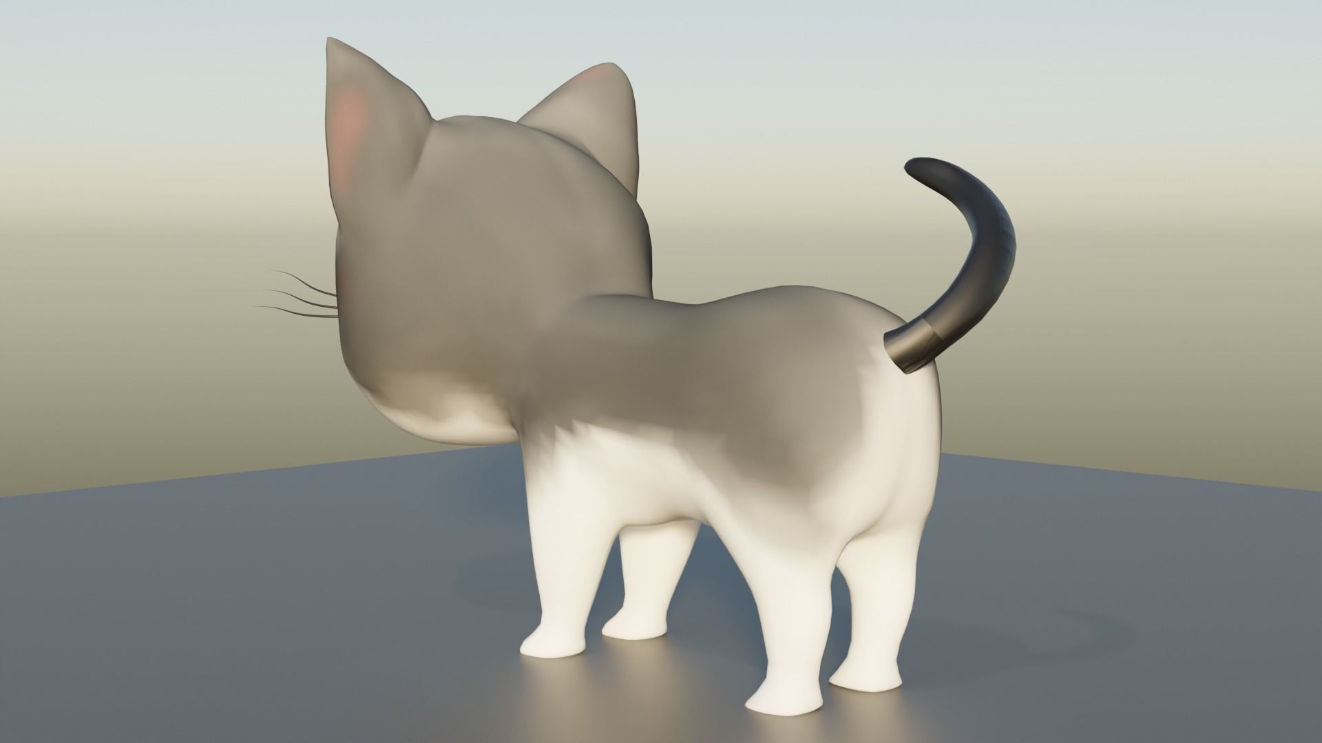 3D Cat Low-poly 3D model_3