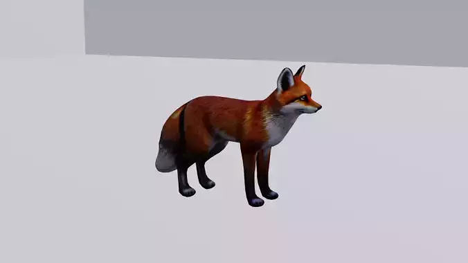 Realistic Fox low poly