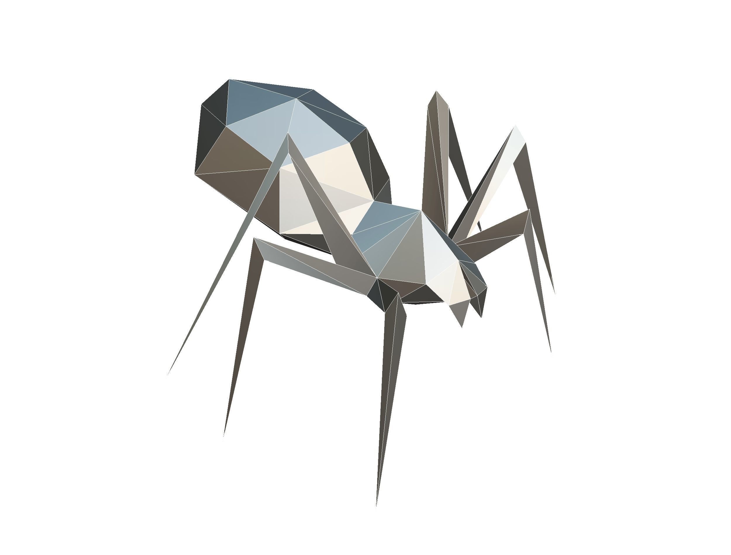 Animated Spider LowPoly Art Insect Low-poly 3D model_33