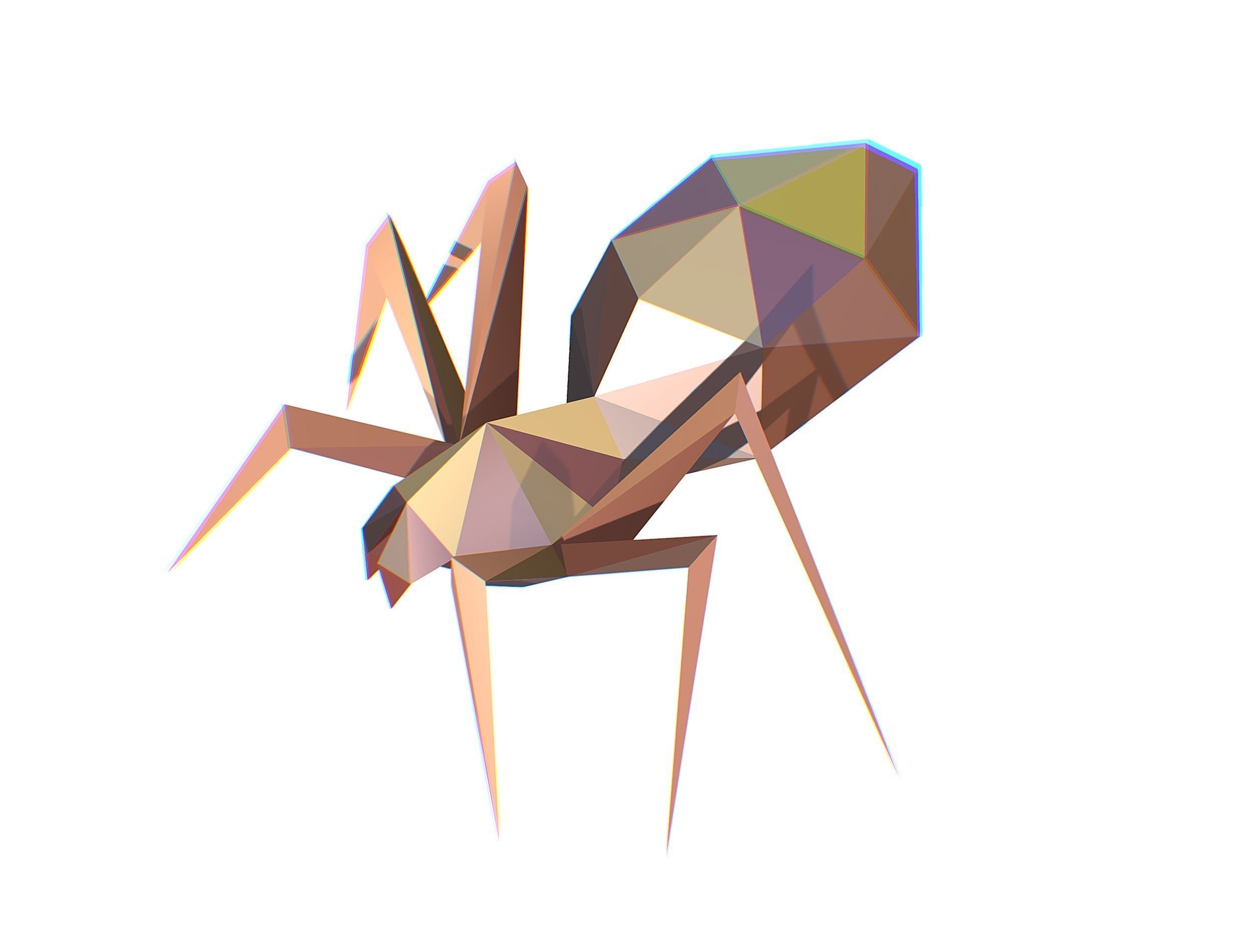 Animated Spider LowPoly Art Insect Low-poly 3D model_29
