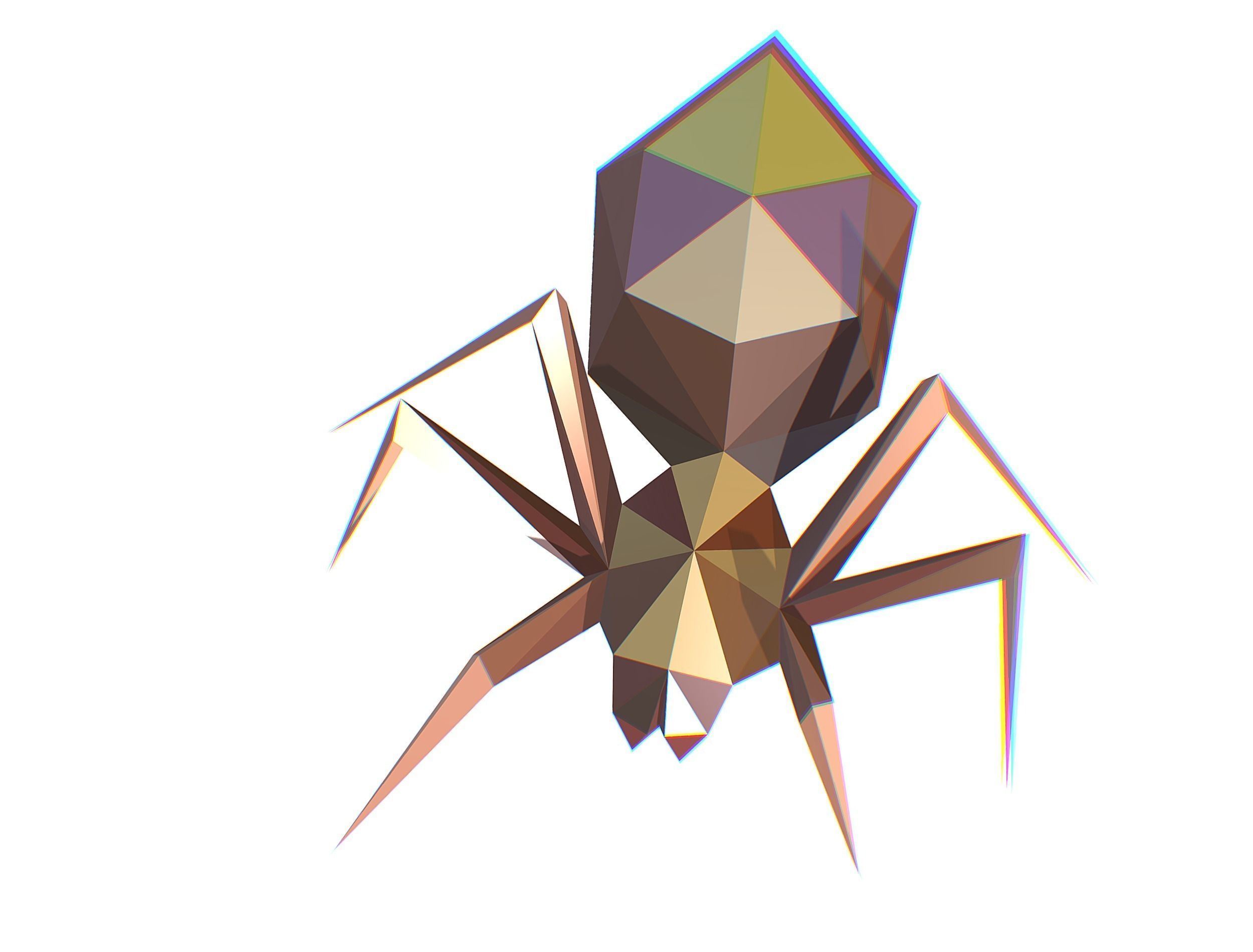 Animated Spider LowPoly Art Insect Low-poly 3D model_16
