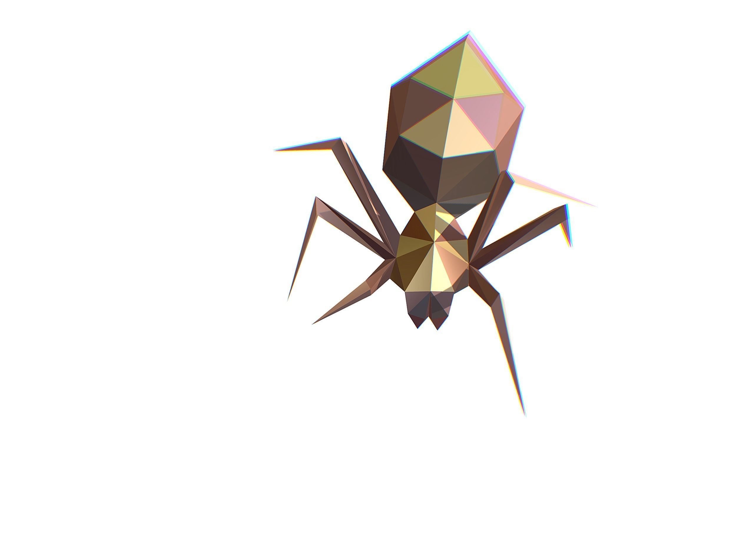 Animated Spider LowPoly Art Insect Low-poly 3D model_6