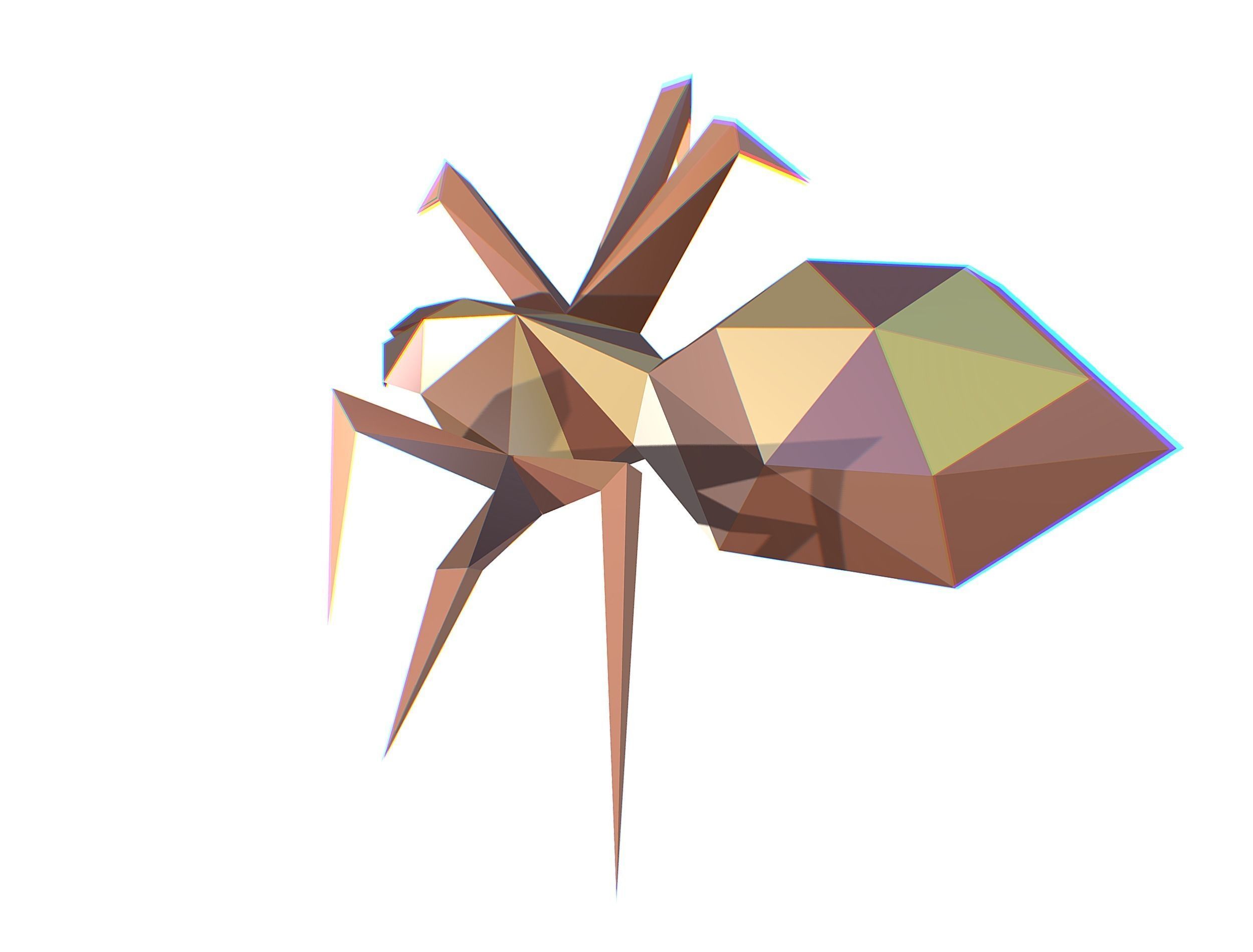 Animated Spider LowPoly Art Insect Low-poly 3D model_20