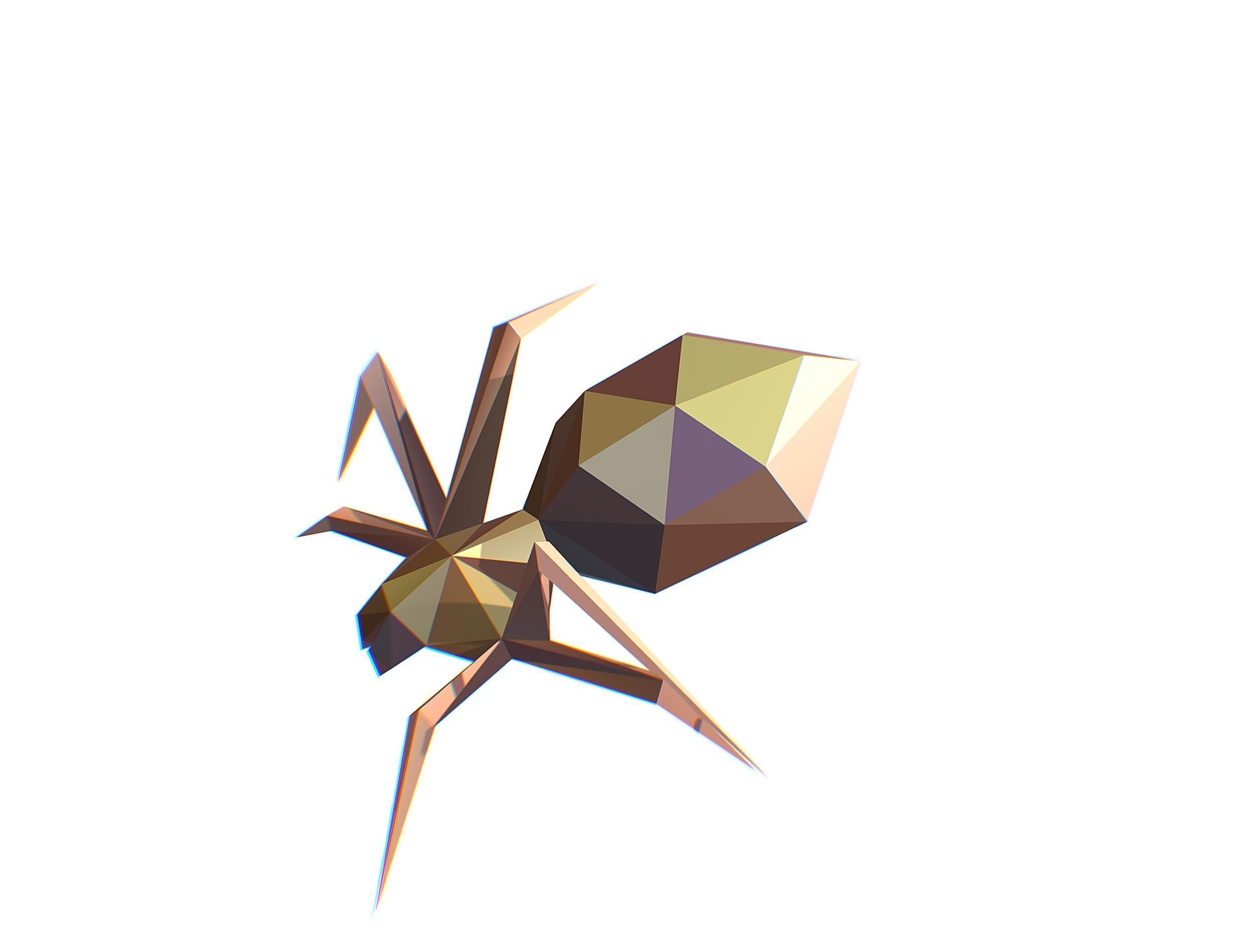 Animated Spider LowPoly Art Insect Low-poly 3D model_9
