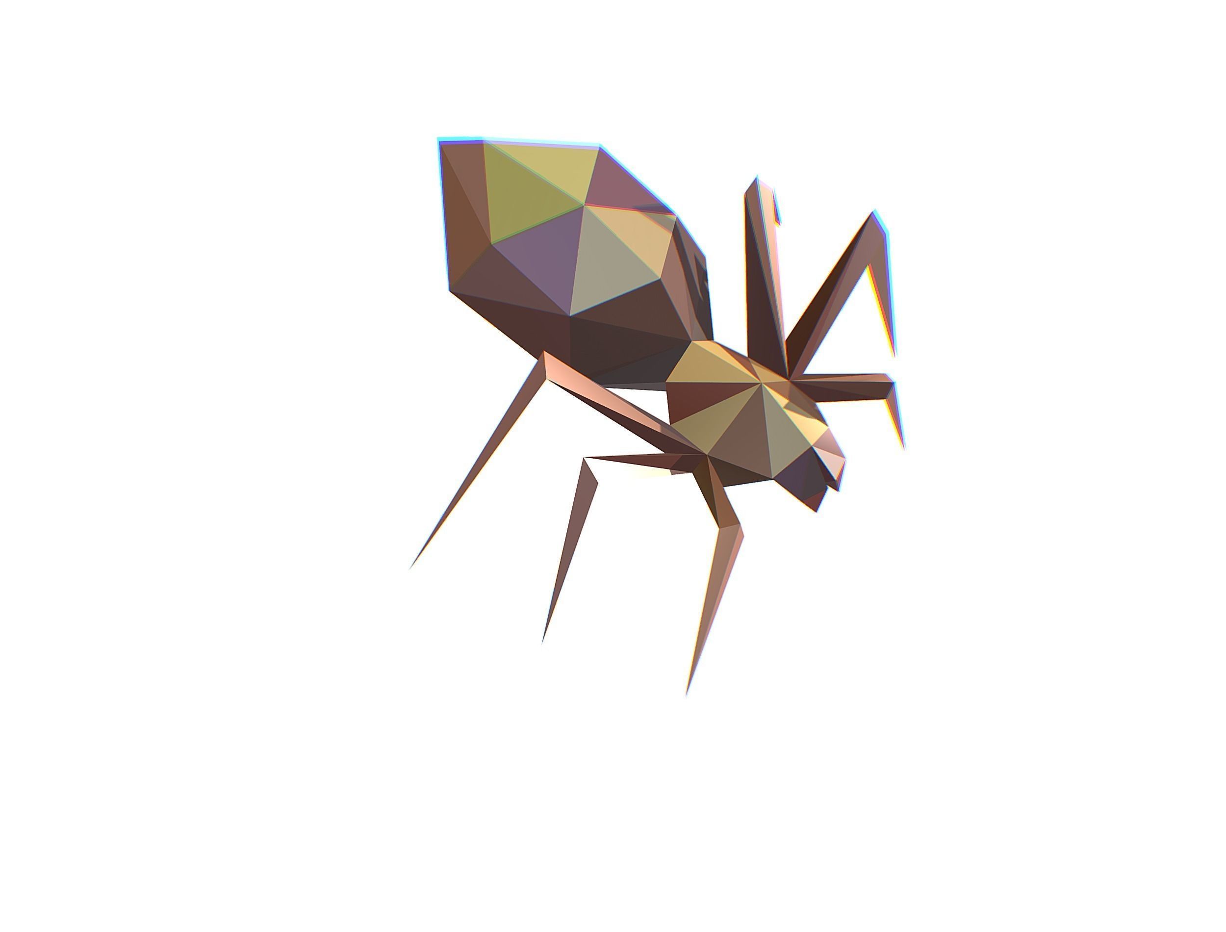 Animated Spider LowPoly Art Insect Low-poly 3D model_5