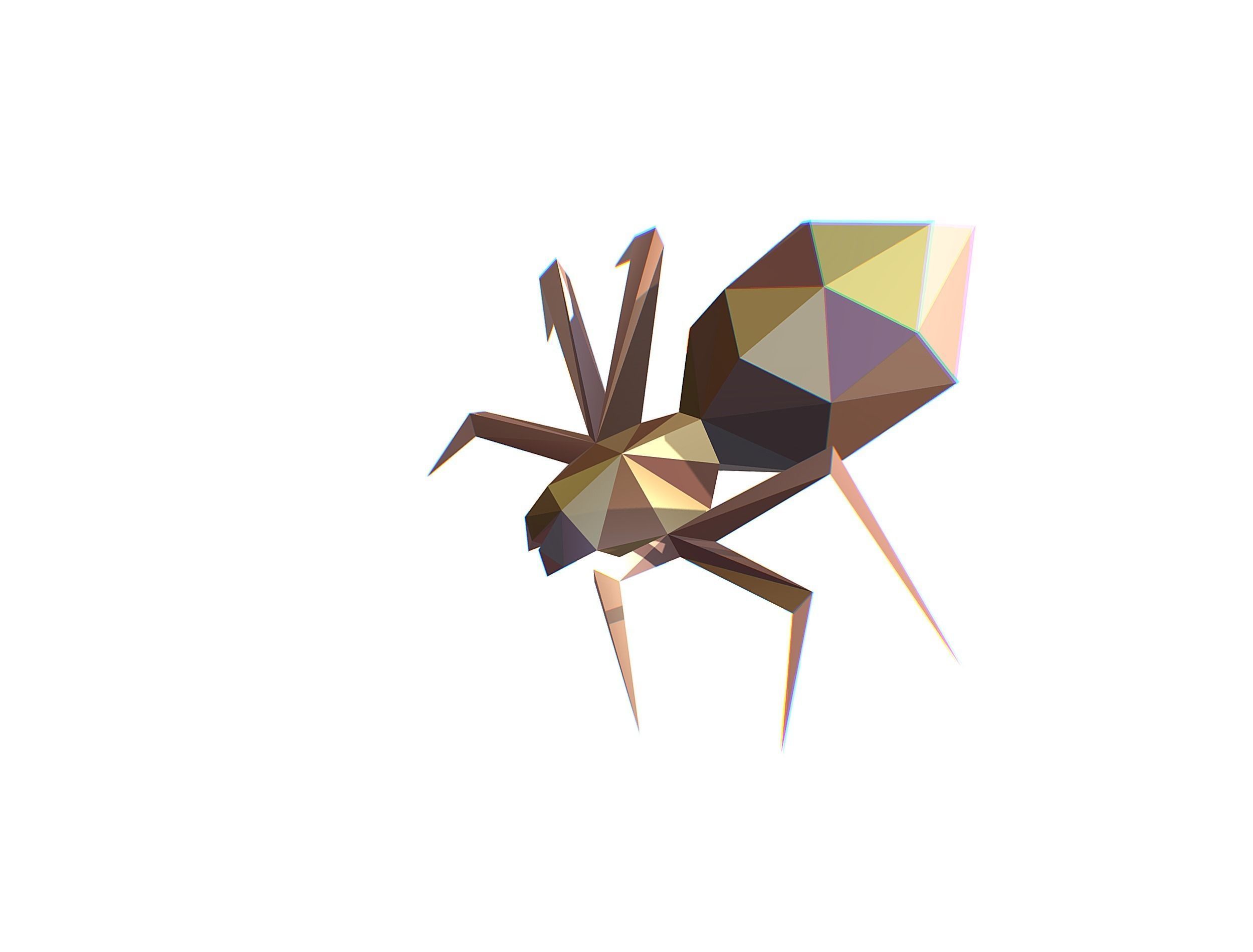 Animated Spider LowPoly Art Insect Low-poly 3D model_8