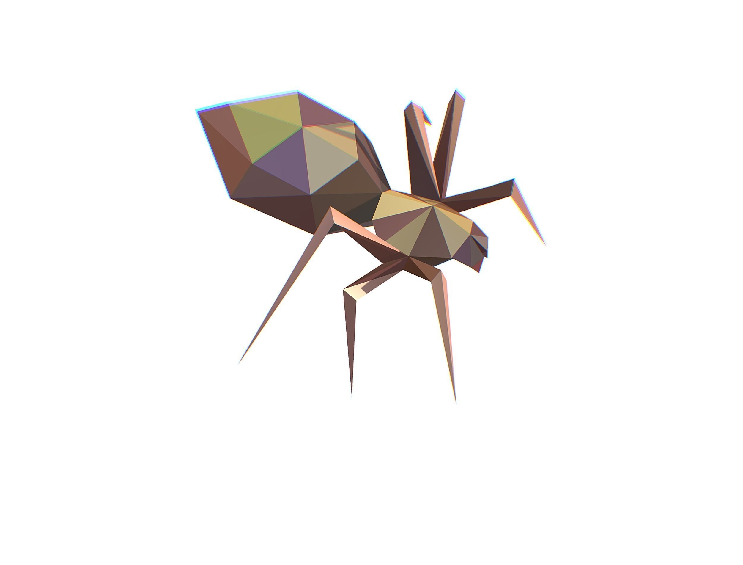 Animated Spider LowPoly Art Insect Low-poly 3D model_3