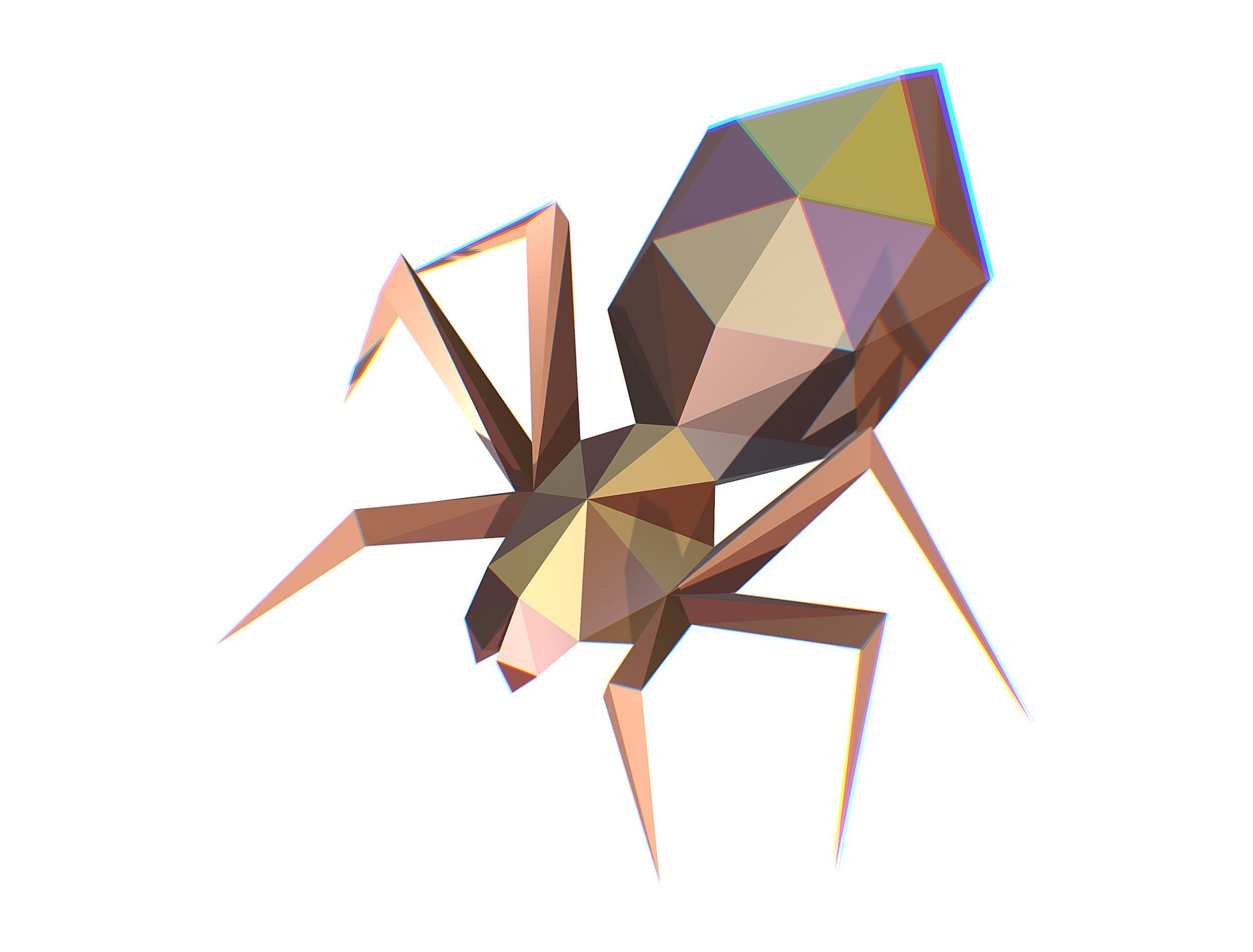 Animated Spider LowPoly Art Insect Low-poly 3D model_17