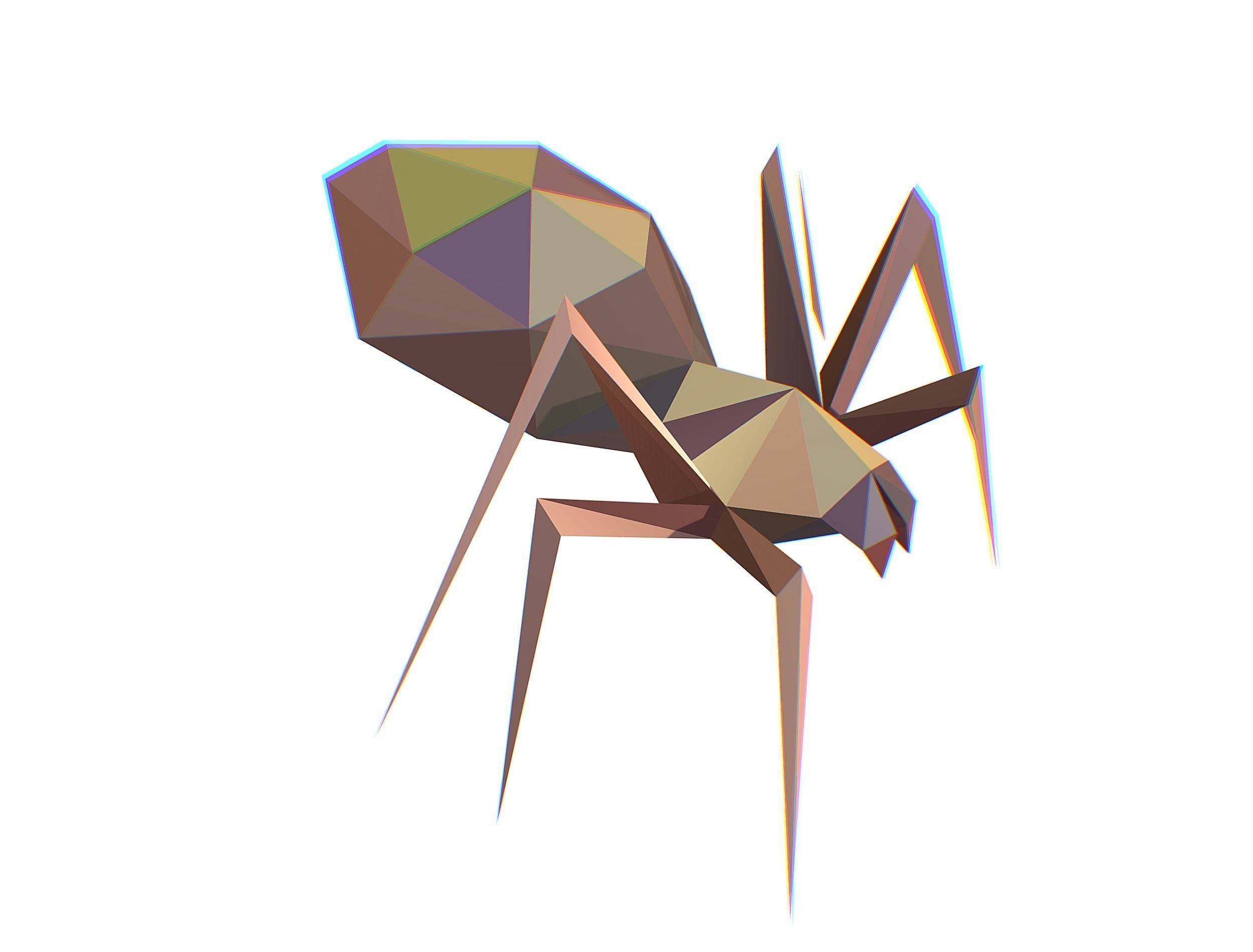 Animated Spider LowPoly Art Insect Low-poly 3D model_28