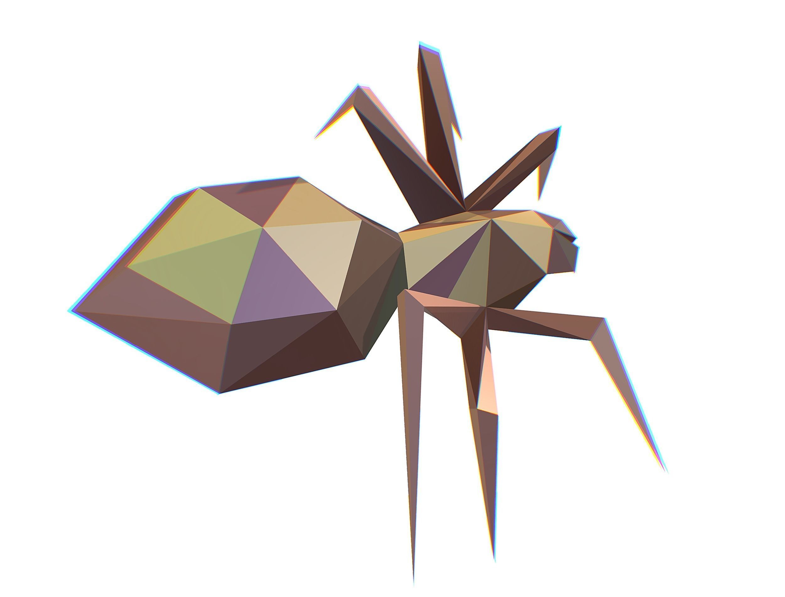 Animated Spider LowPoly Art Insect Low-poly 3D model_26