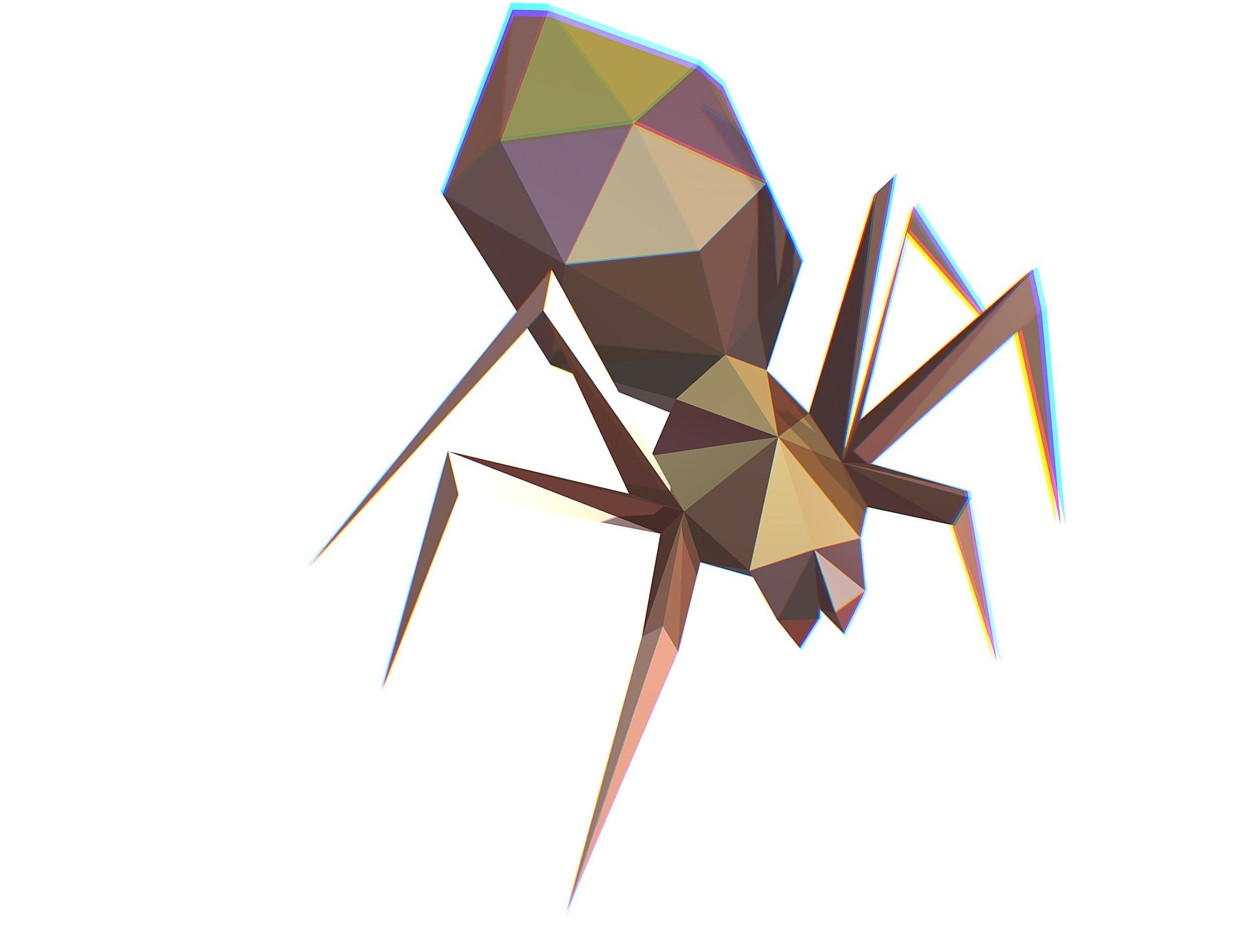 Animated Spider LowPoly Art Insect Low-poly 3D model_14