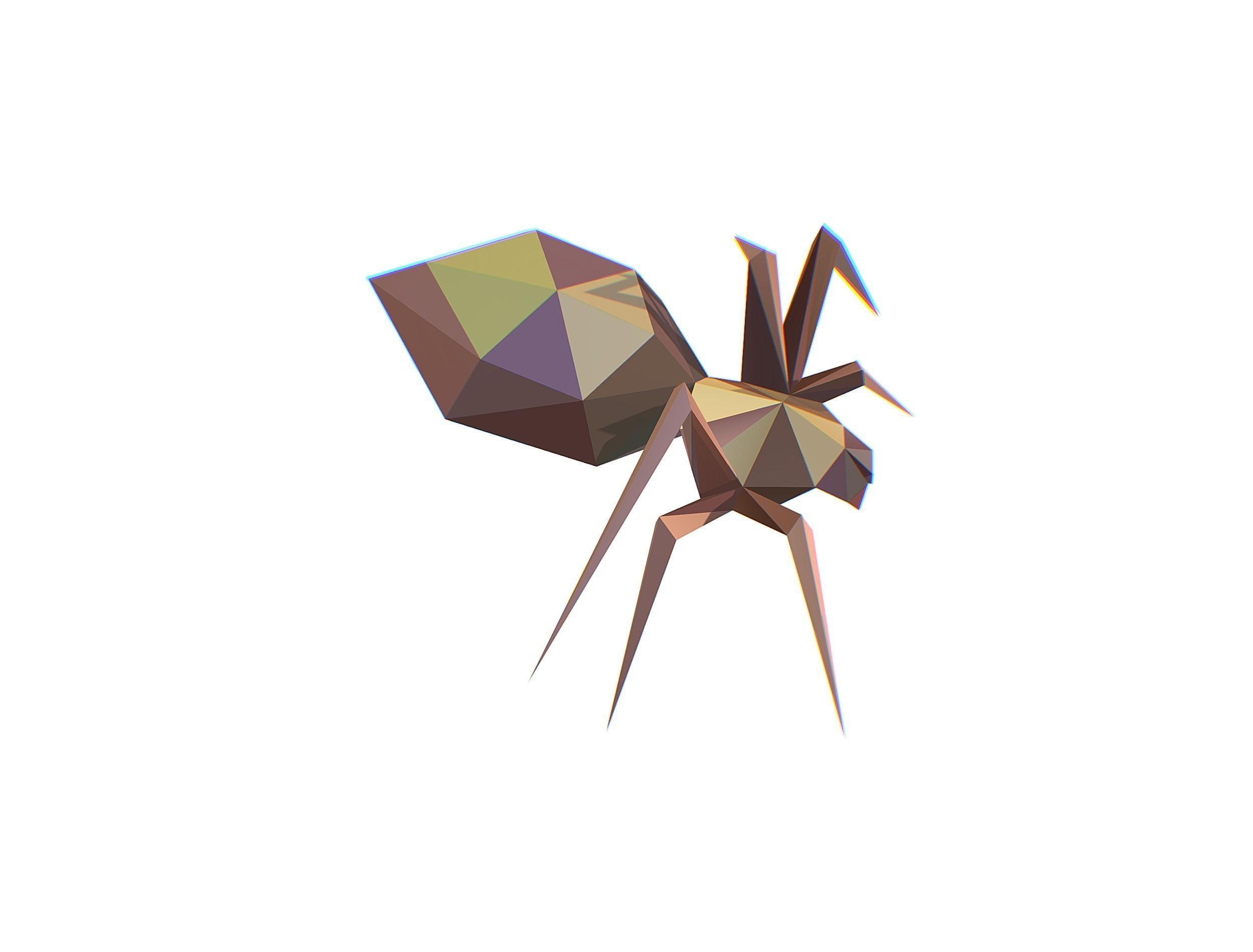 Animated Spider LowPoly Art Insect Low-poly 3D model_4