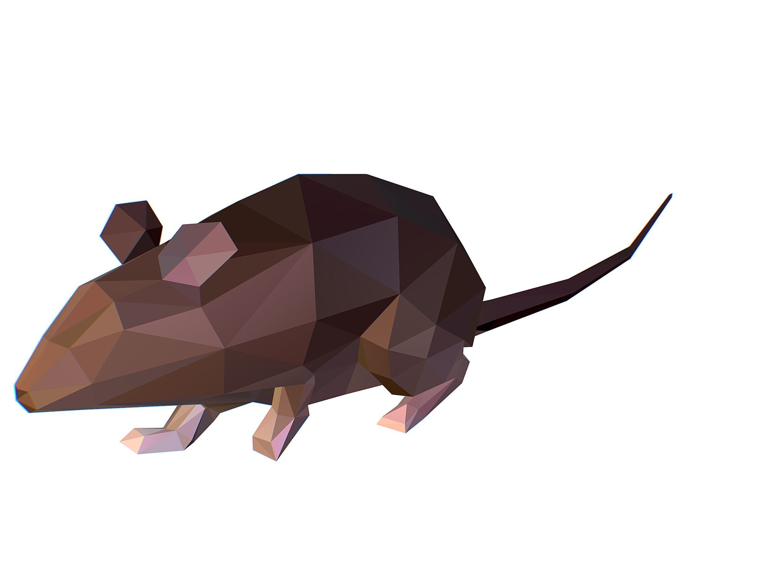 Animated Rat Mouse Lowpoly Art Style Low-poly 3D model_1