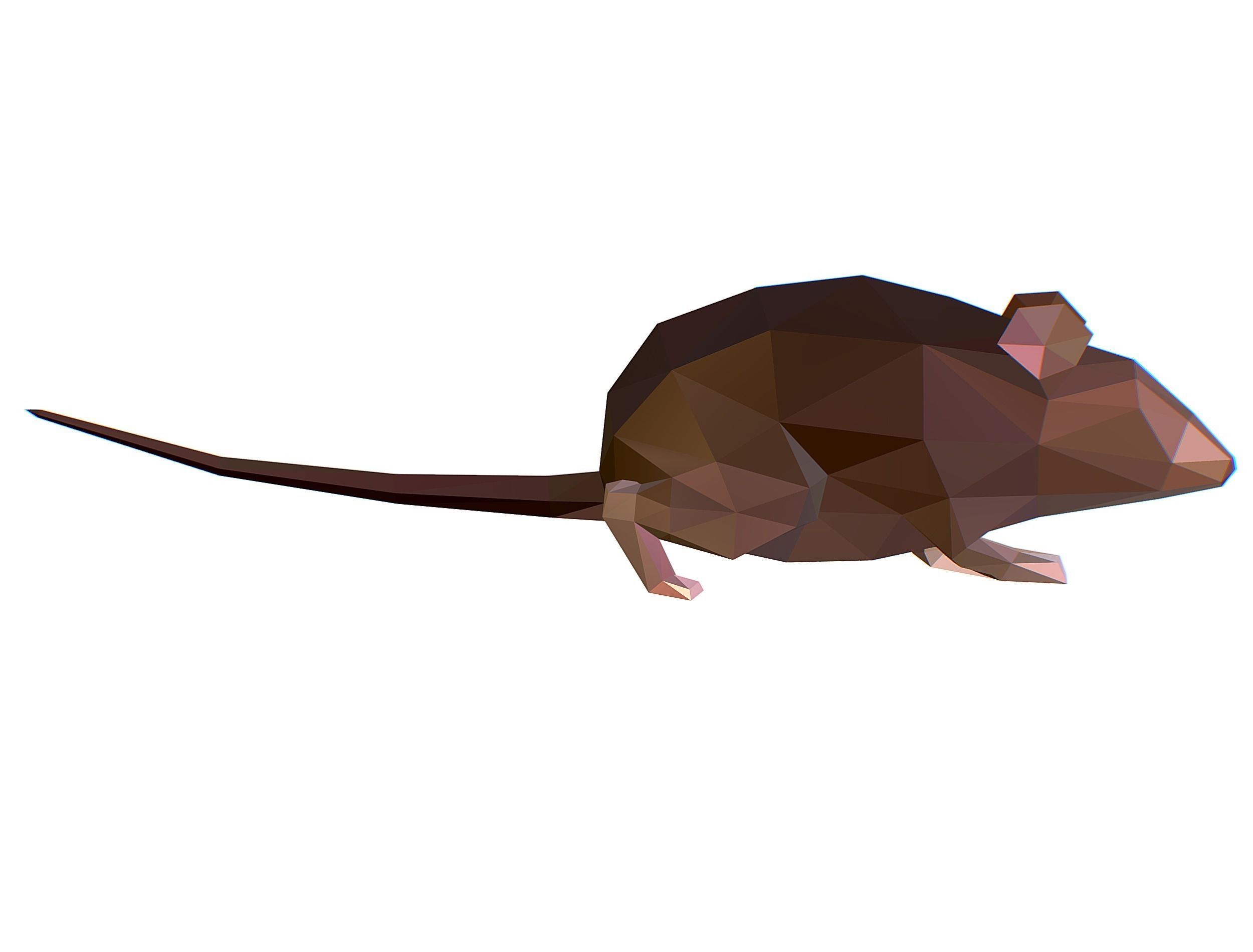 Animated Rat Mouse Lowpoly Art Style Low-poly 3D model_15