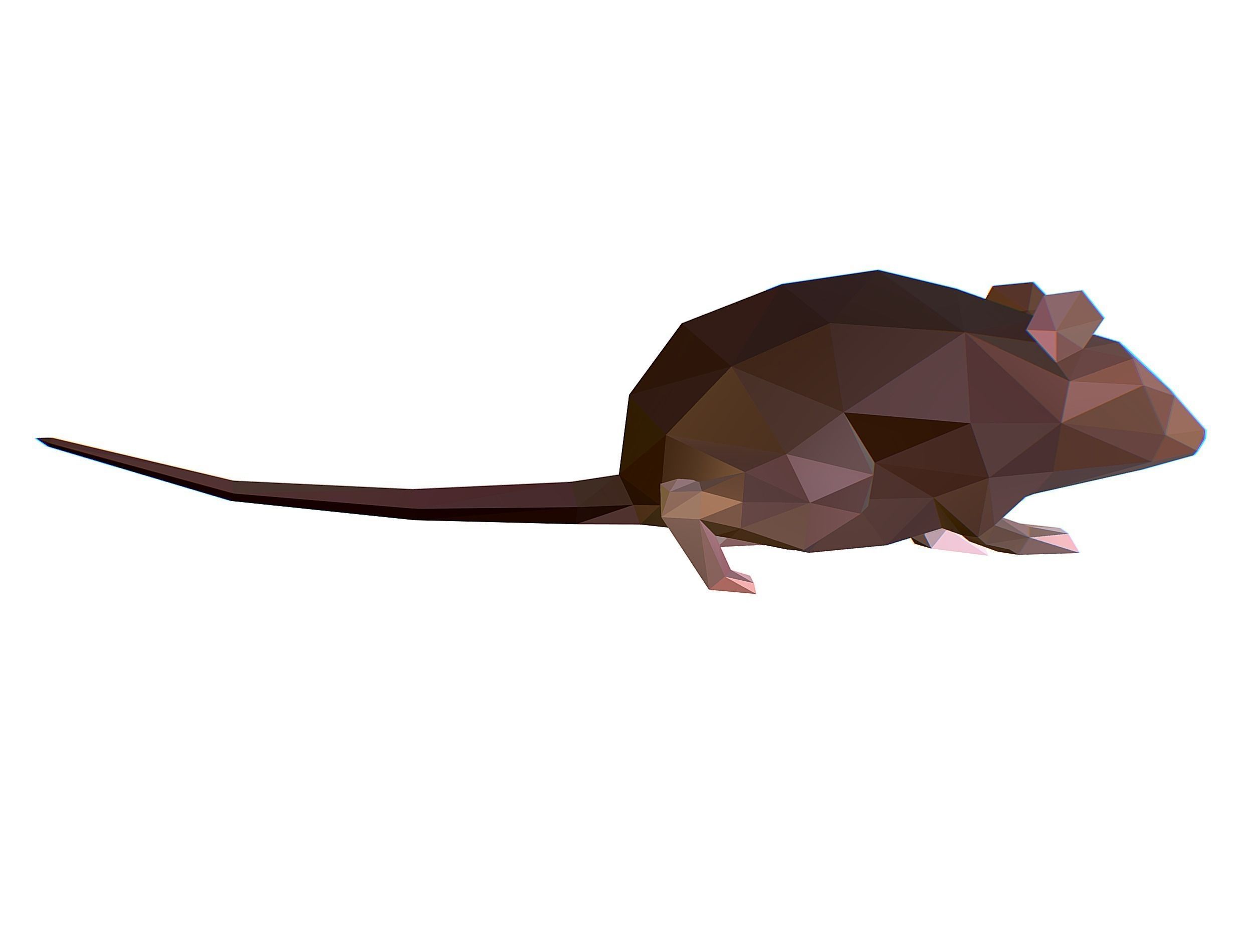 Animated Rat Mouse Lowpoly Art Style Low-poly 3D model_16