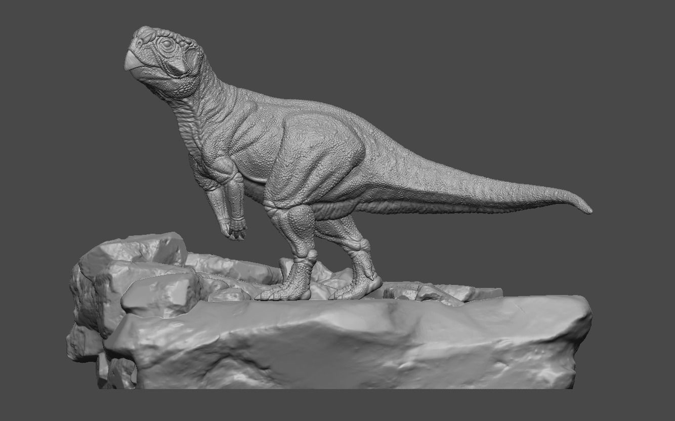 Psittacosaurus 2 3D print model_6