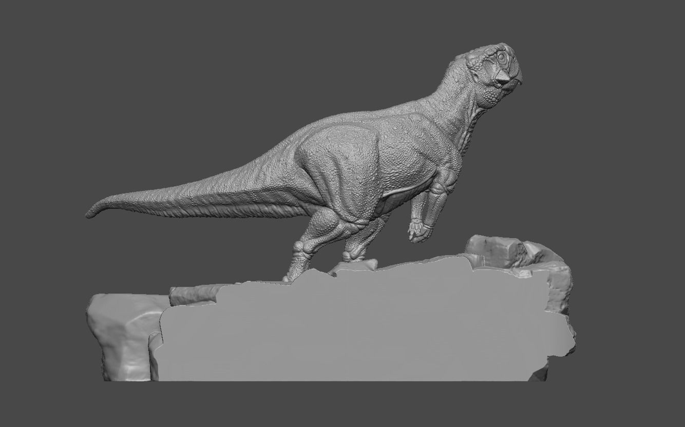 Psittacosaurus 2 3D print model_8