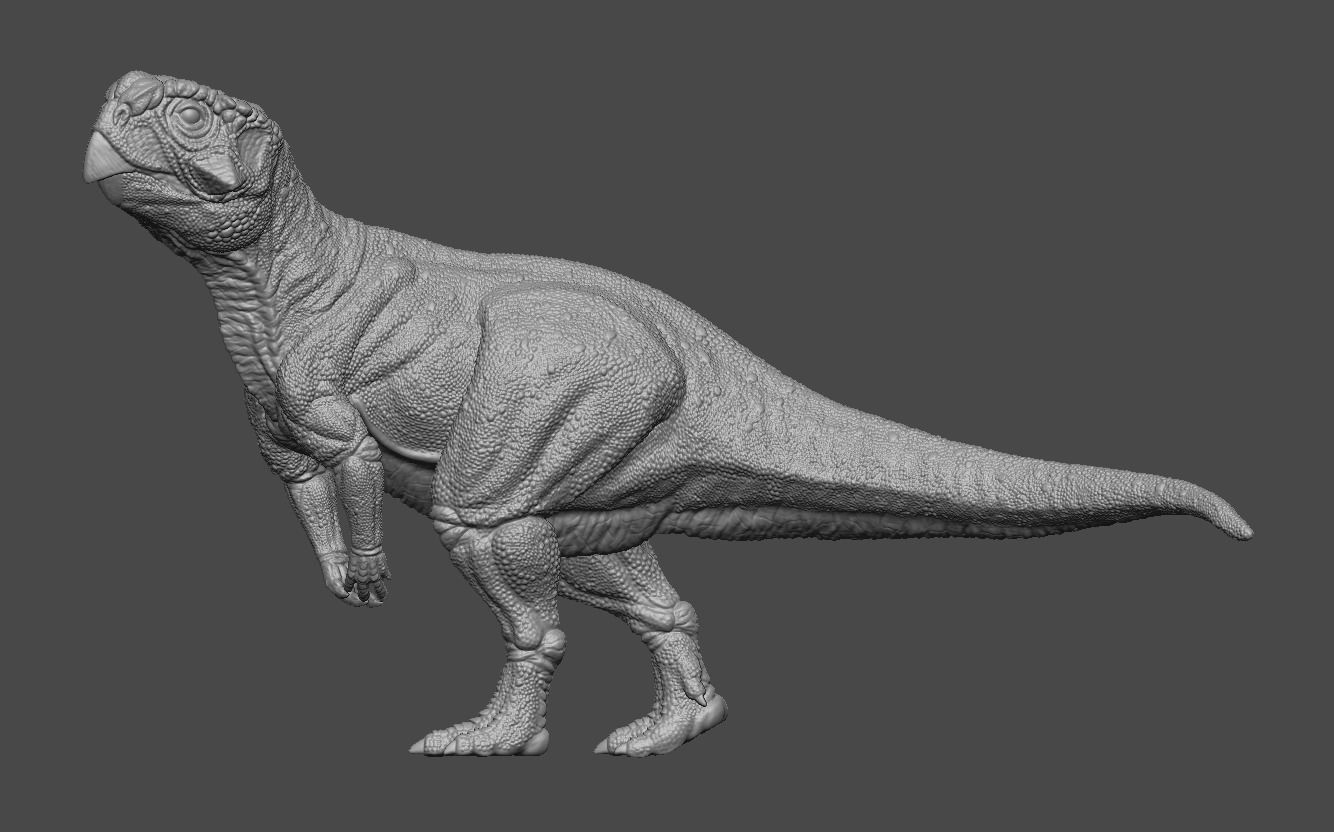 Psittacosaurus 2 3D print model_12