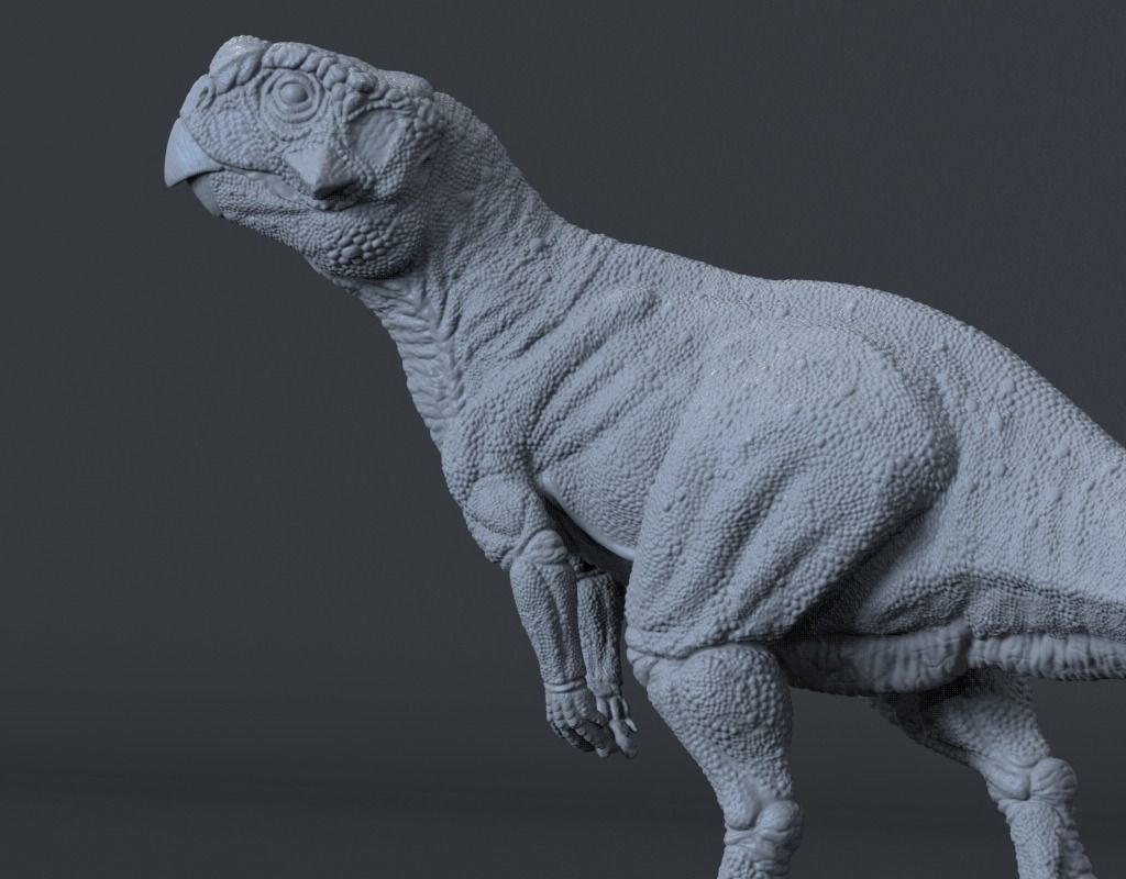 Psittacosaurus 2 3D print model_2