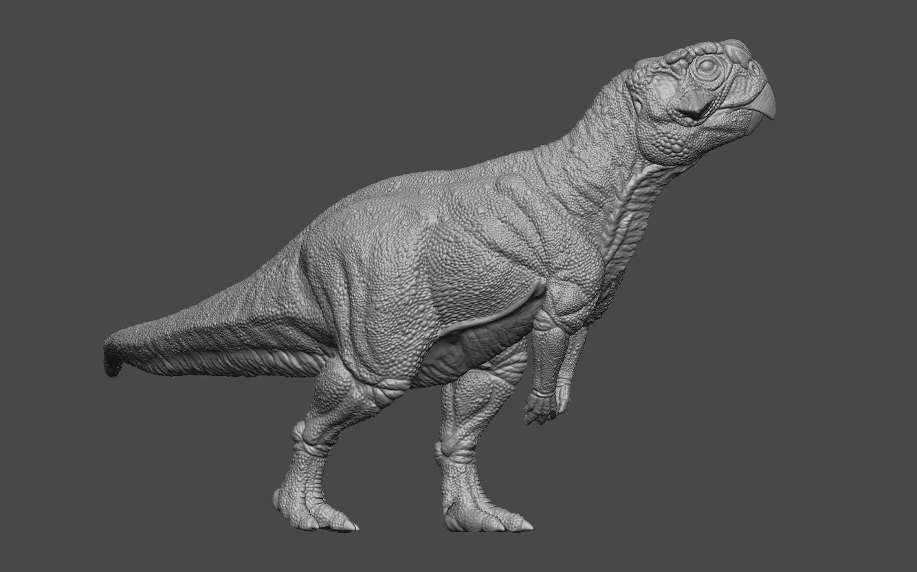 Psittacosaurus 2 3D print model_11