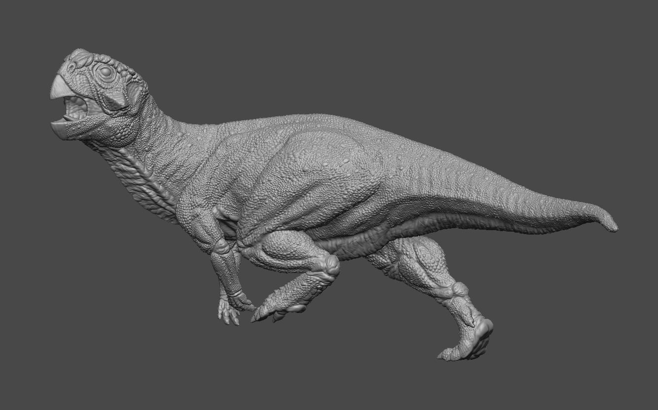Psittacosaurus 3 3D print model_9