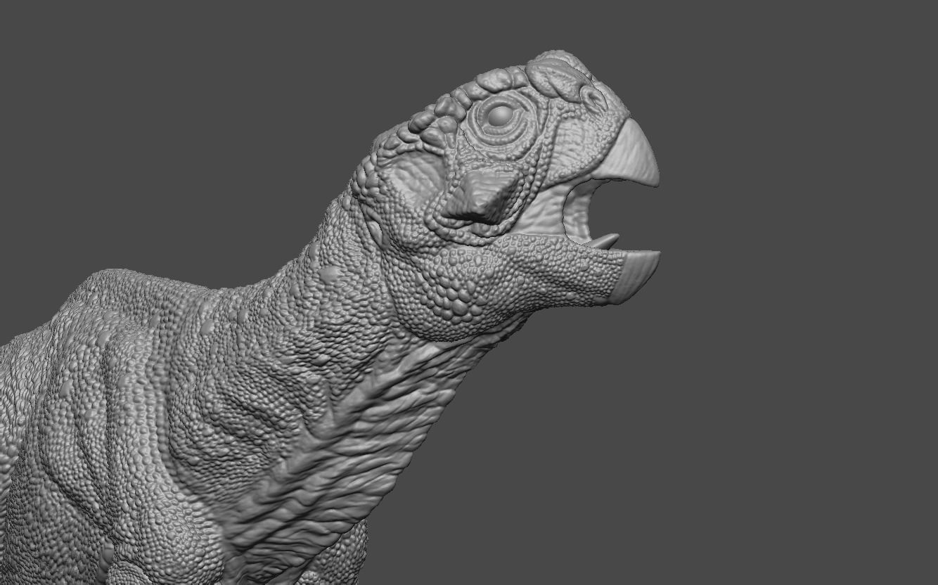 Psittacosaurus 3 3D print model_10