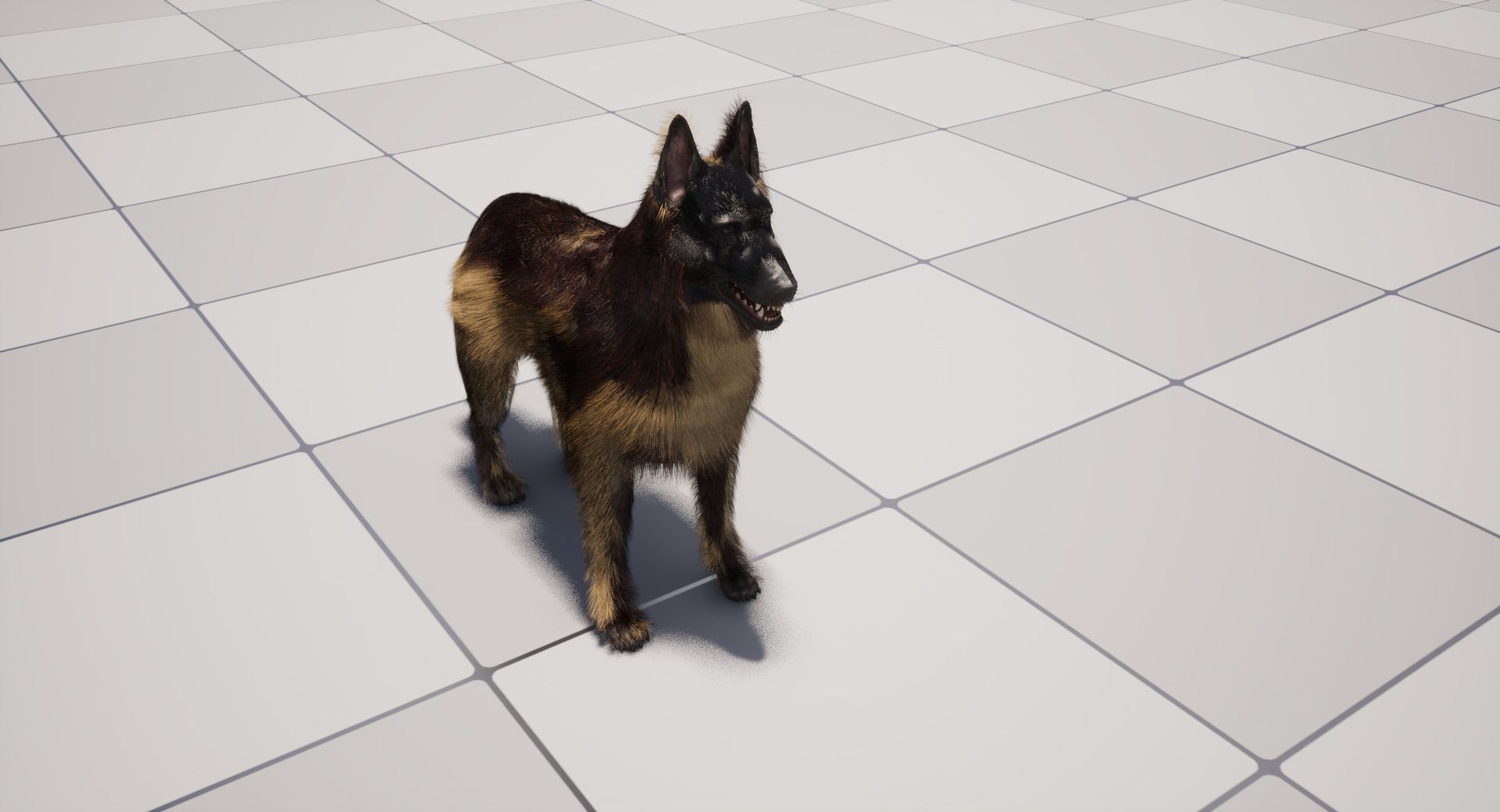 UE5 German Shepherd Dog with Groom Low-poly 3D model_15