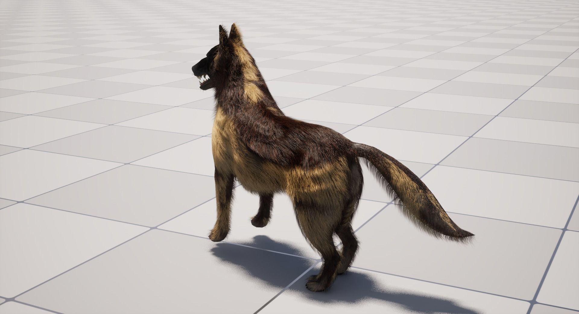 UE5 German Shepherd Dog with Groom Low-poly 3D model_17